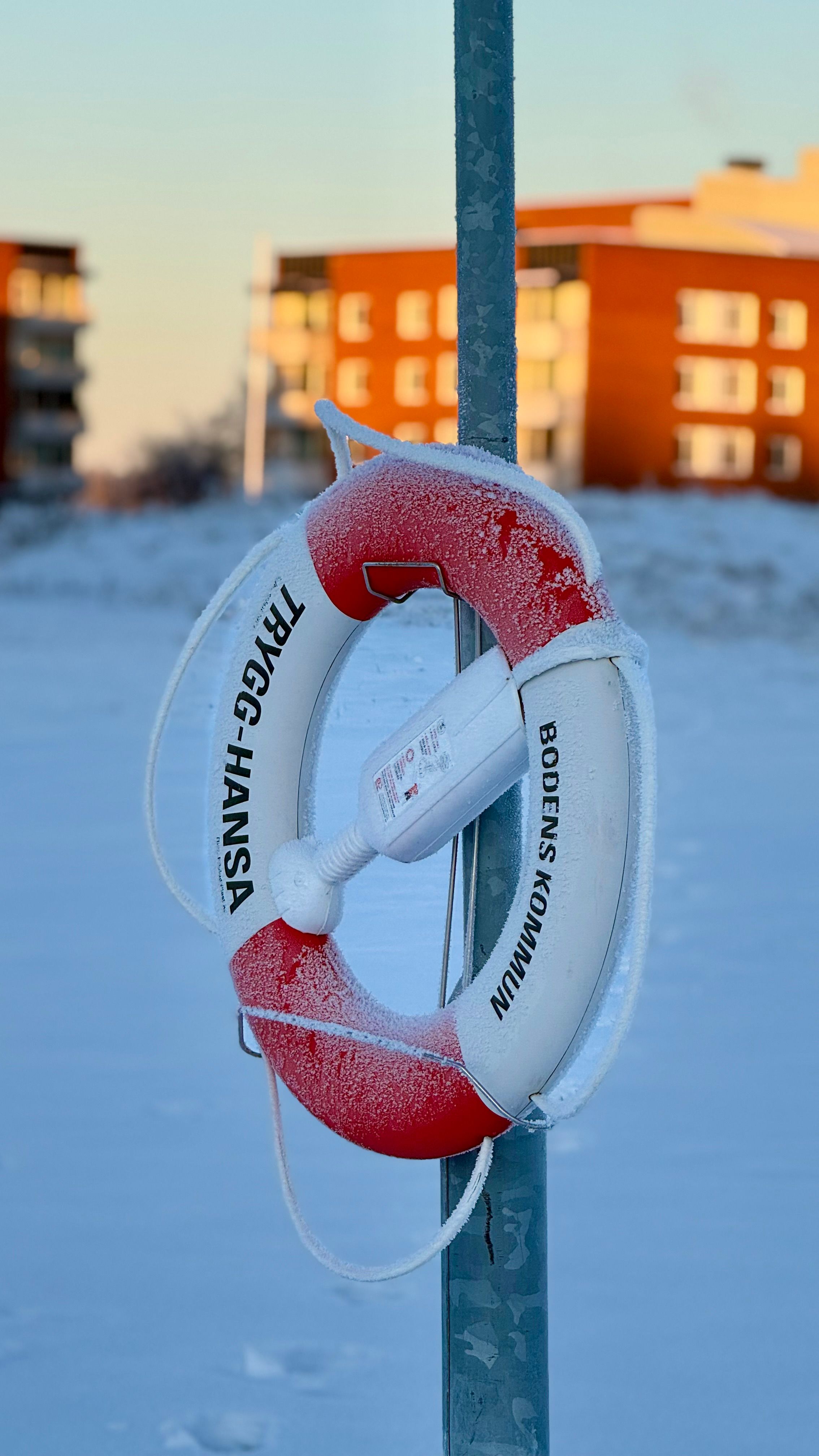 Gratis Et Frossent Løfte Om Redning Lagerfoto