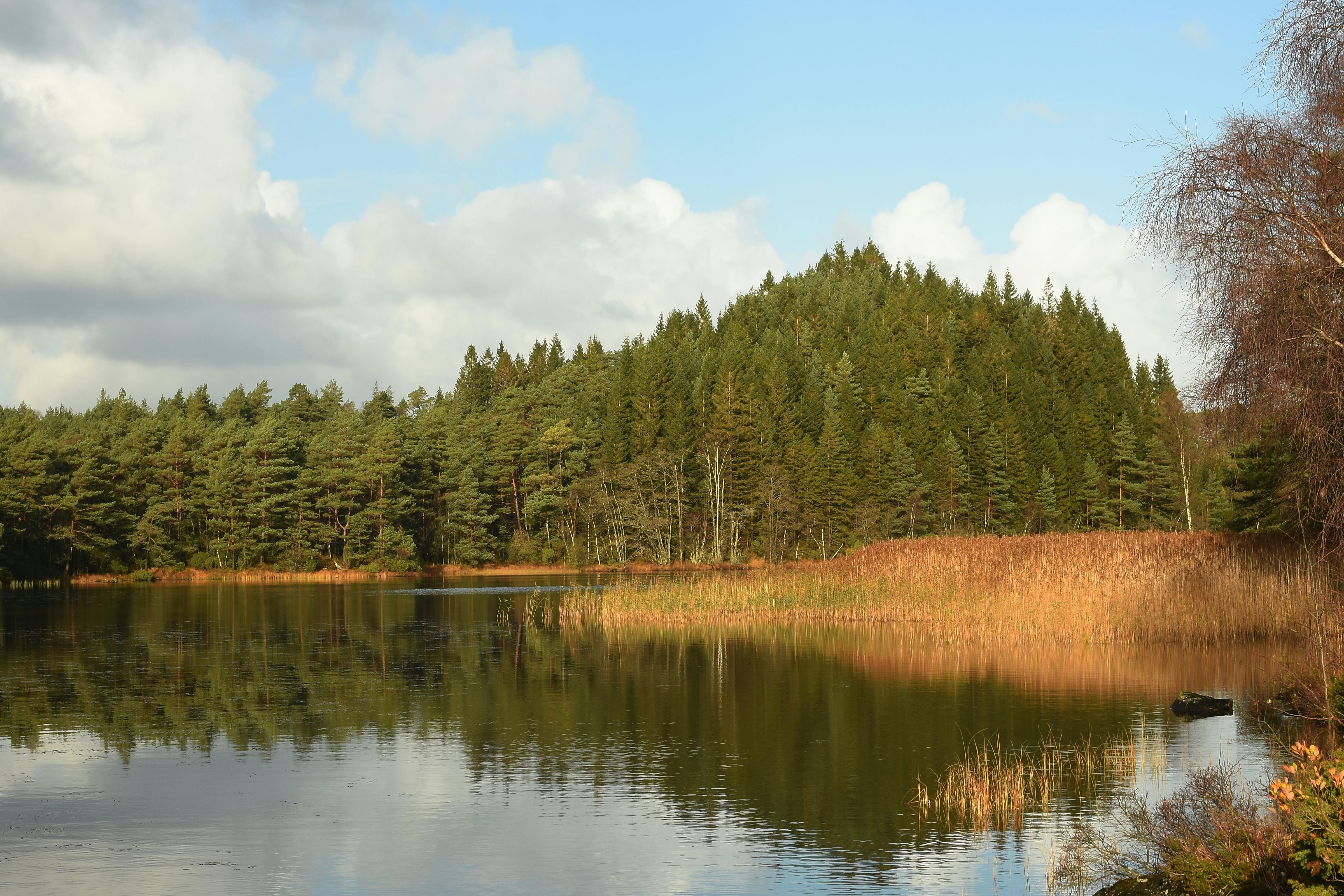 跨文化團隊管理實務：從國際小組到山林巨木探勘的合作經驗