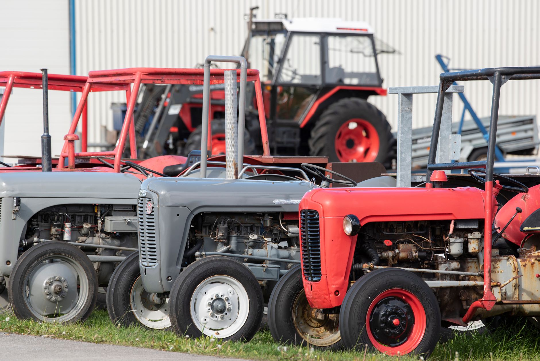 A collection of vintage tractors, including Massey Ferguson models, parked outdoors.
