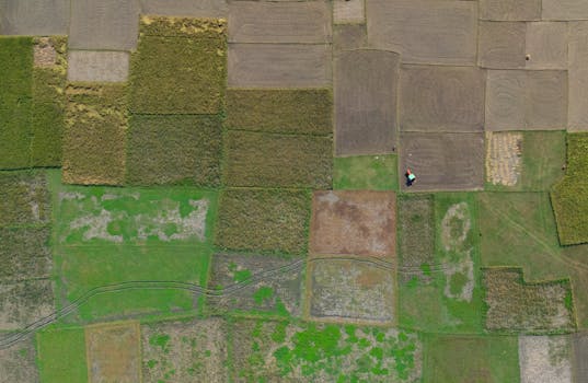 A stunning aerial shot of lush patchwork fields in Bangladesh, showcasing vibrant agricultural landscapes.