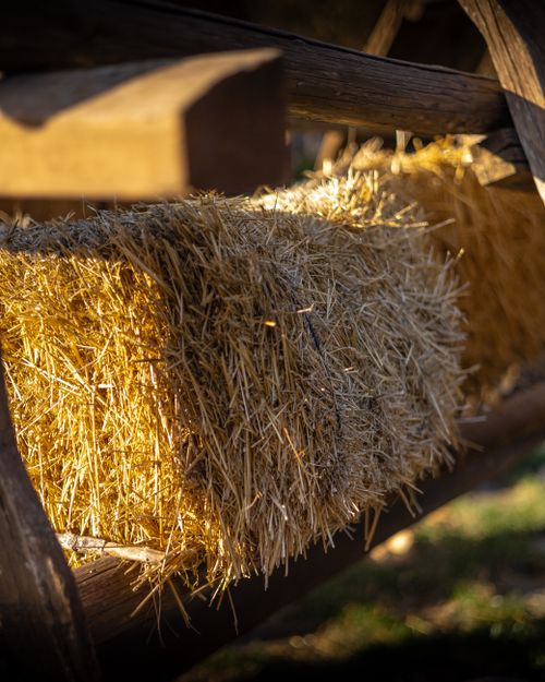 Free Sunlit hay bale in rustic wooden frame outdoors, showcasing a warm rural scene. Stock Photo