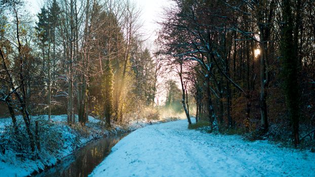 Winter landscape with snow-covered trees and path in Aurich, Germany.