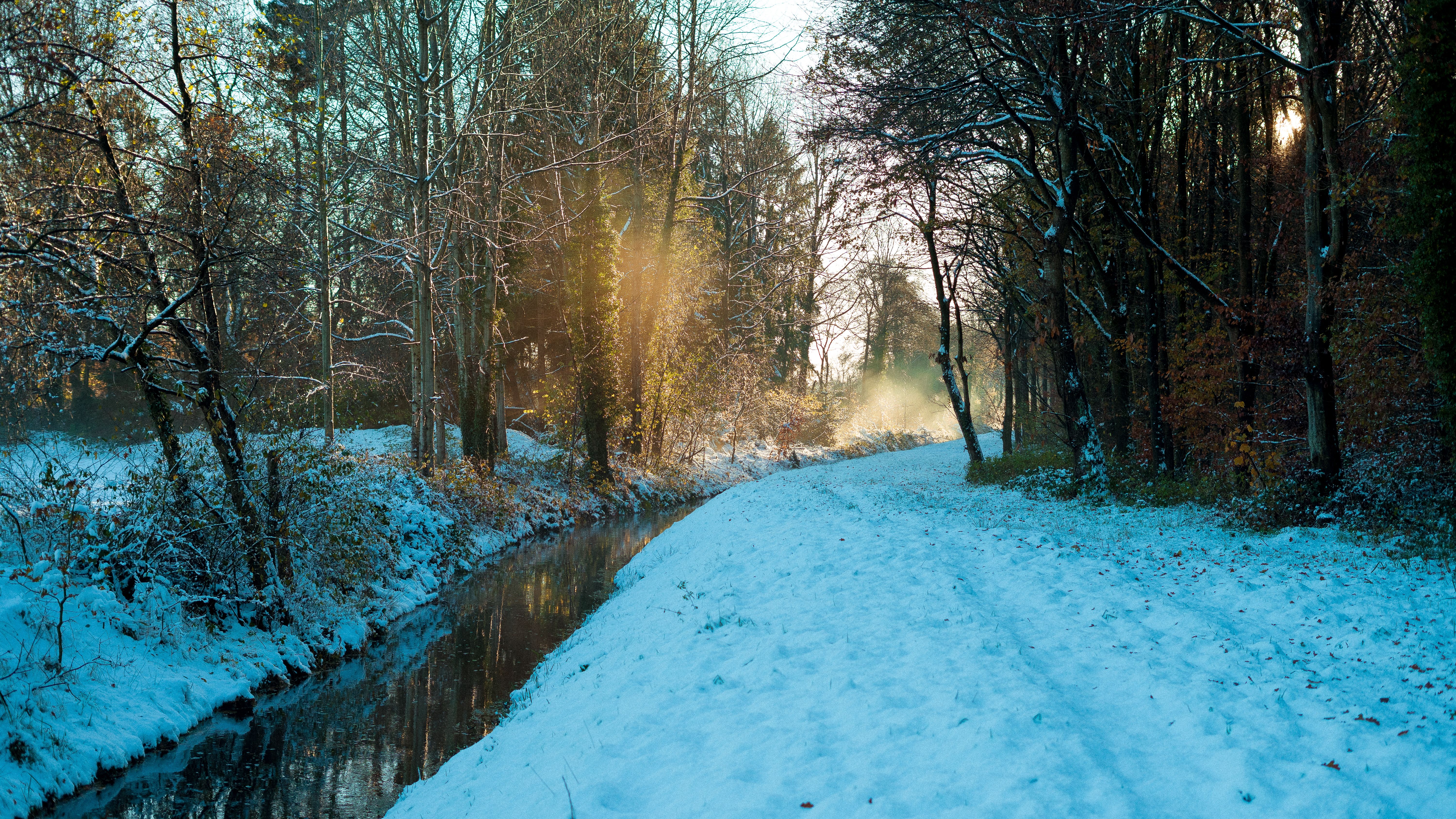 Snowy Winter Scene in Aurich Forest Path · Free Stock Photo