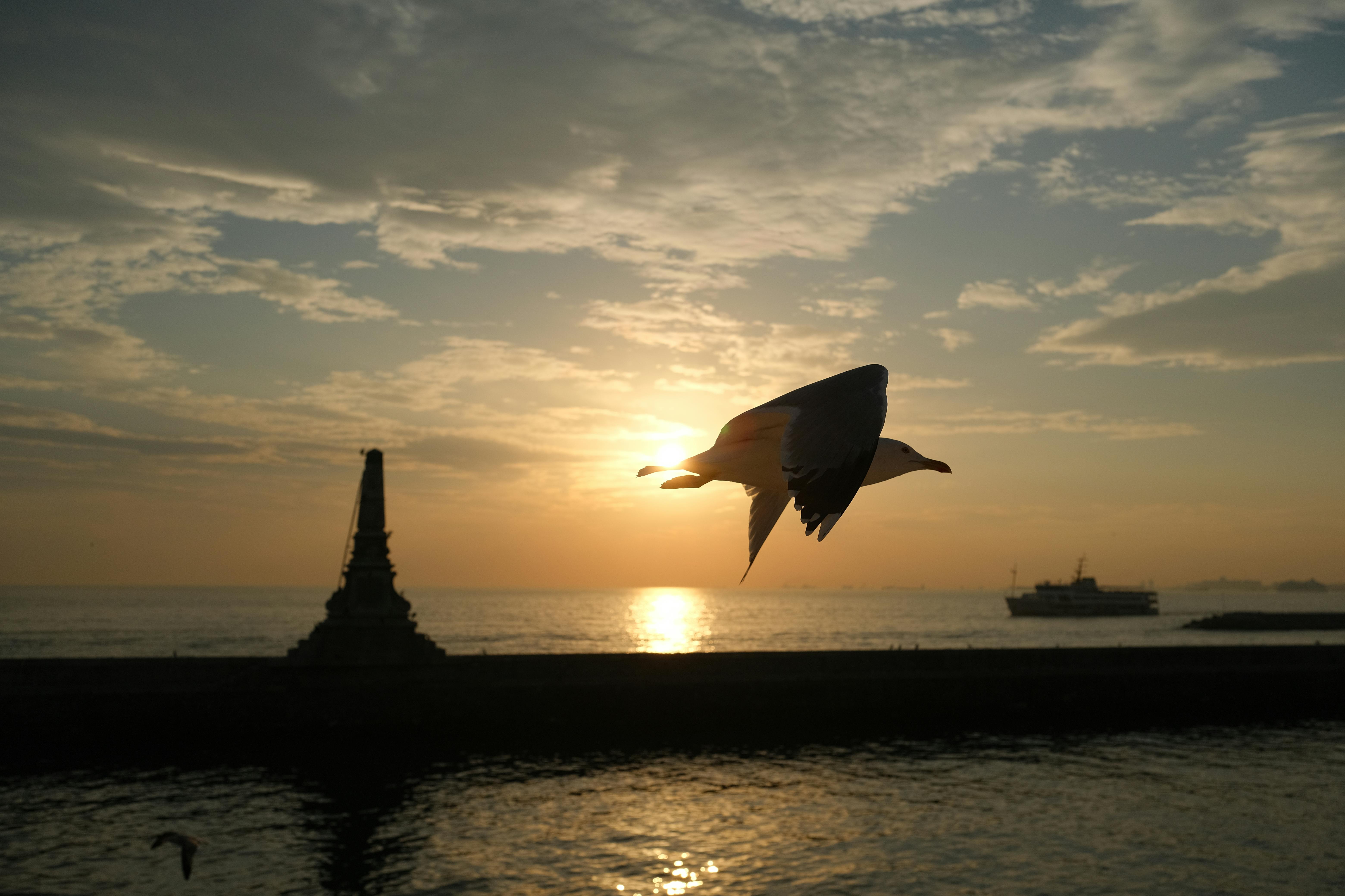 花蓮直飛韓國只要2.5小時，永津國際推15300元超值四日遊