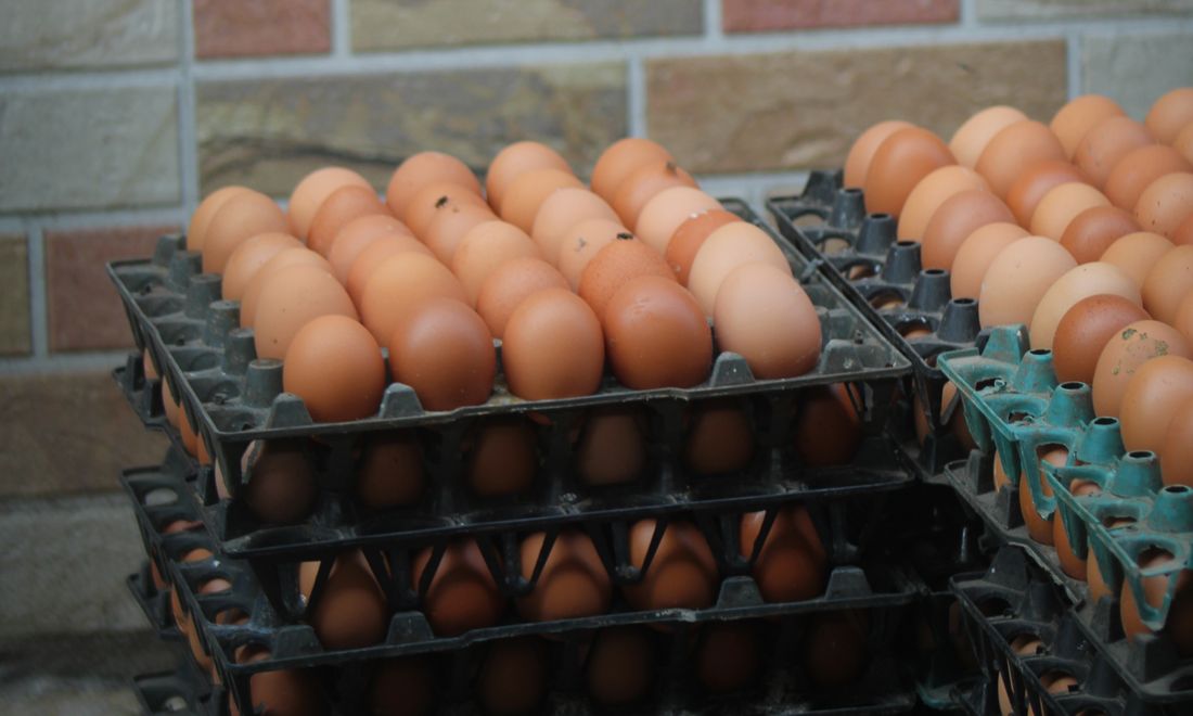 Stacks of brown eggs in egg trays