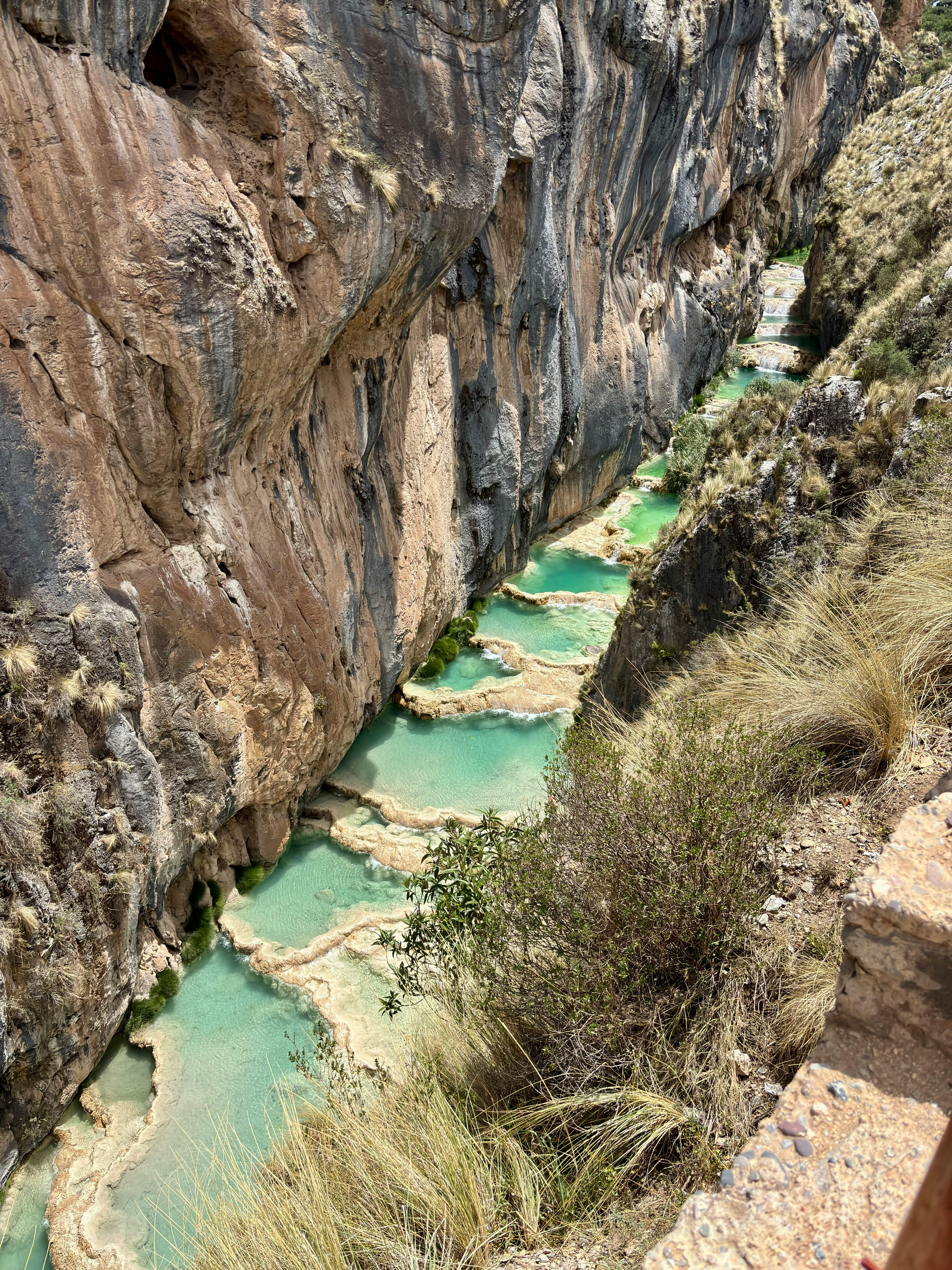 grátis Millpu Foto profissional