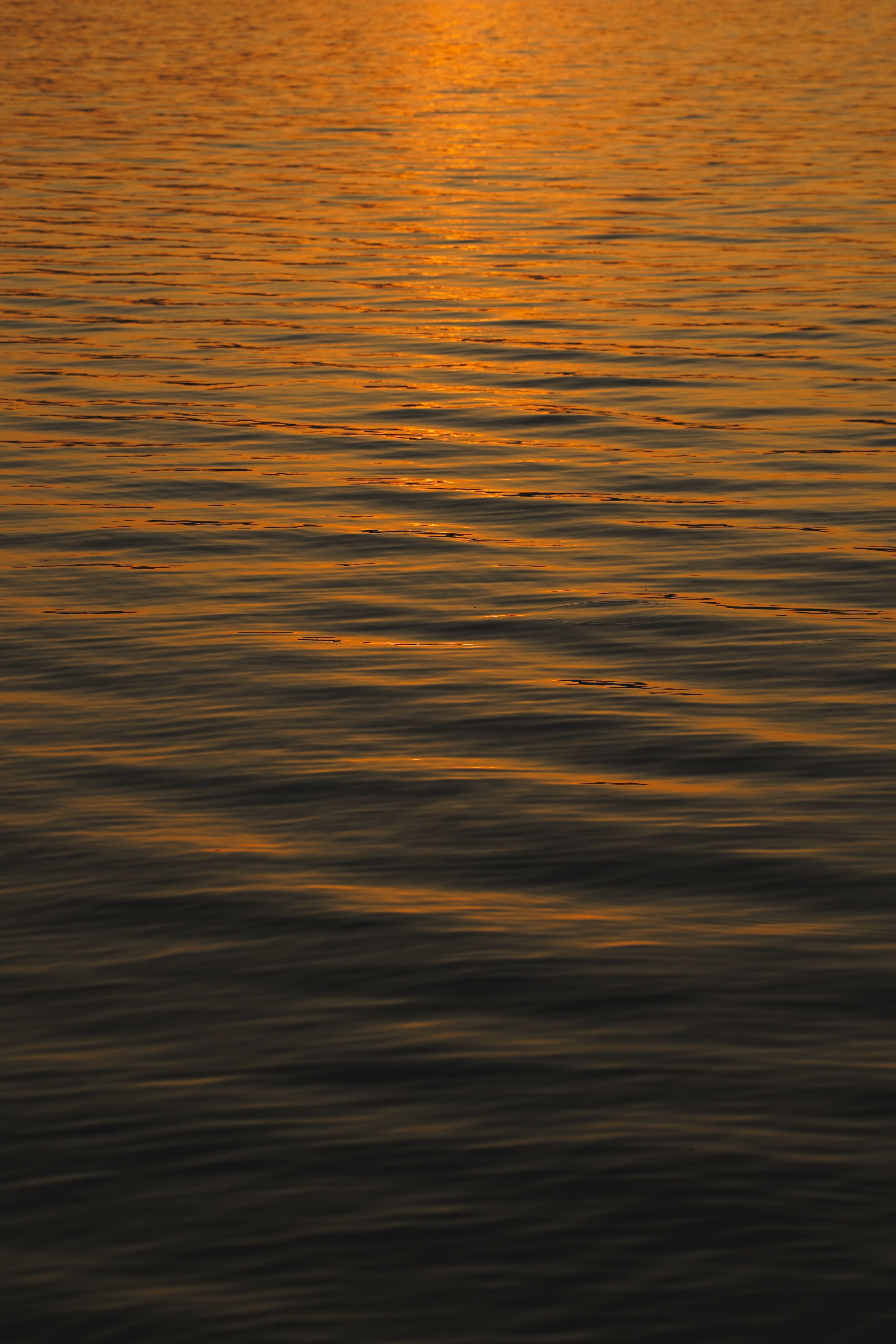 Golden Sunset Reflections on Calm Water Surface · Free Stock Photo