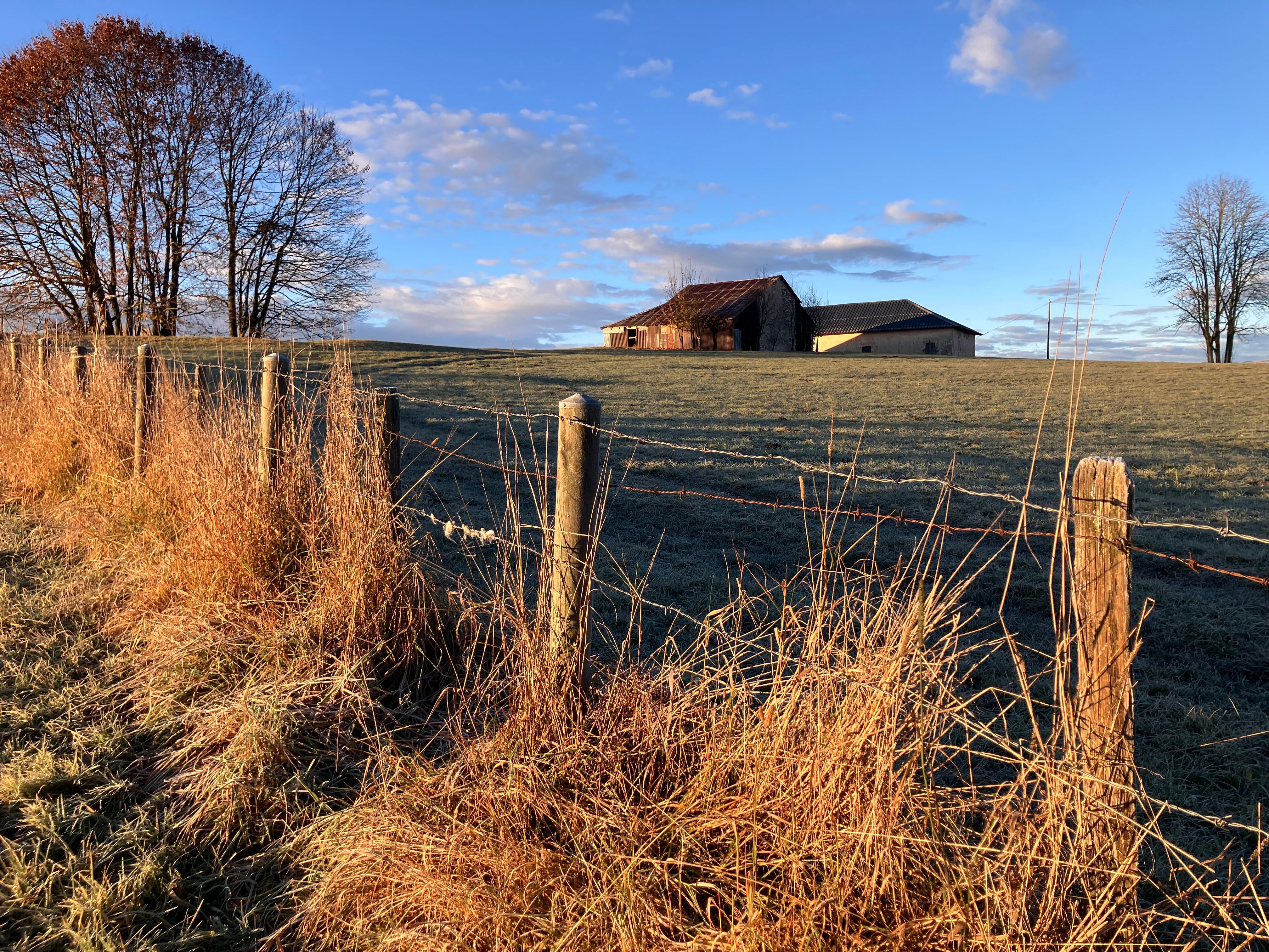 Armstrong, Indiana, Purchase Line honored with Governor's Civic Engagement Awards — Photo by Giorgio Giombi on Pexels