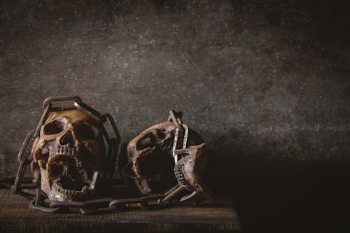 Darmowe zdjęcie z galerii z ciemny, czaszka, człowiek
