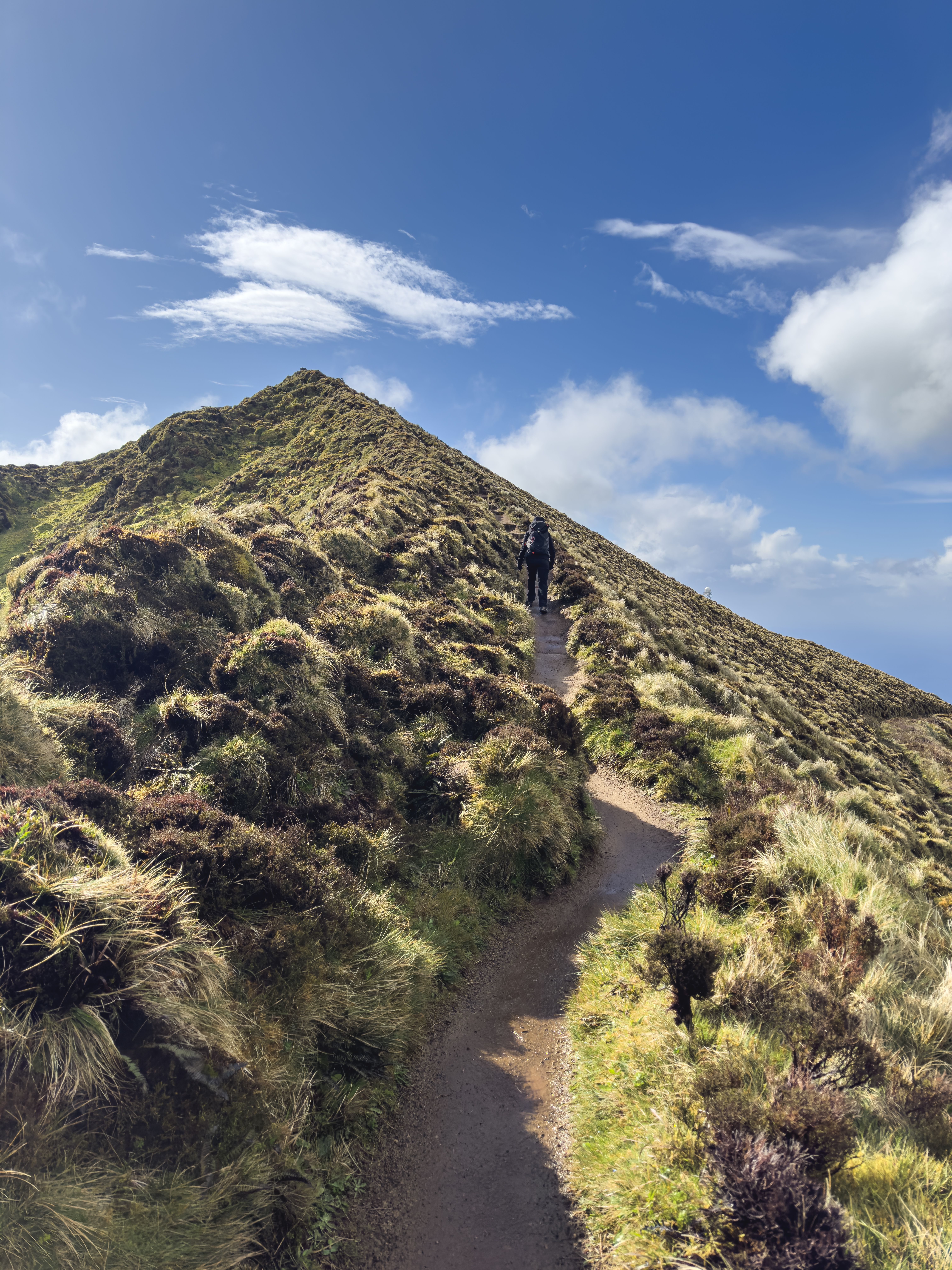 A lone hiker traverses a lush mountain ridge under a clear blue sky. Ideal for nature and travel themes.