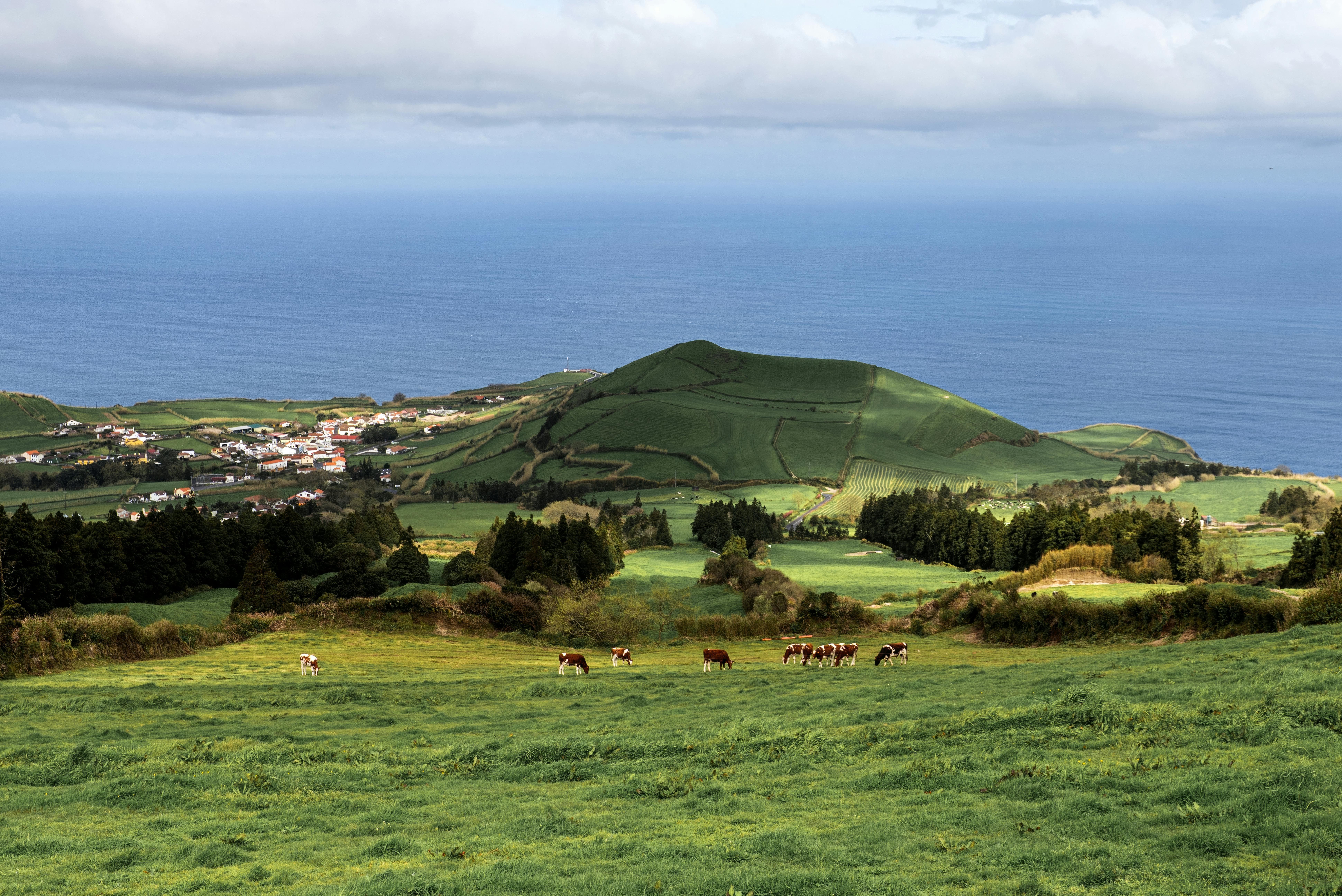 Landmarks in Terceira