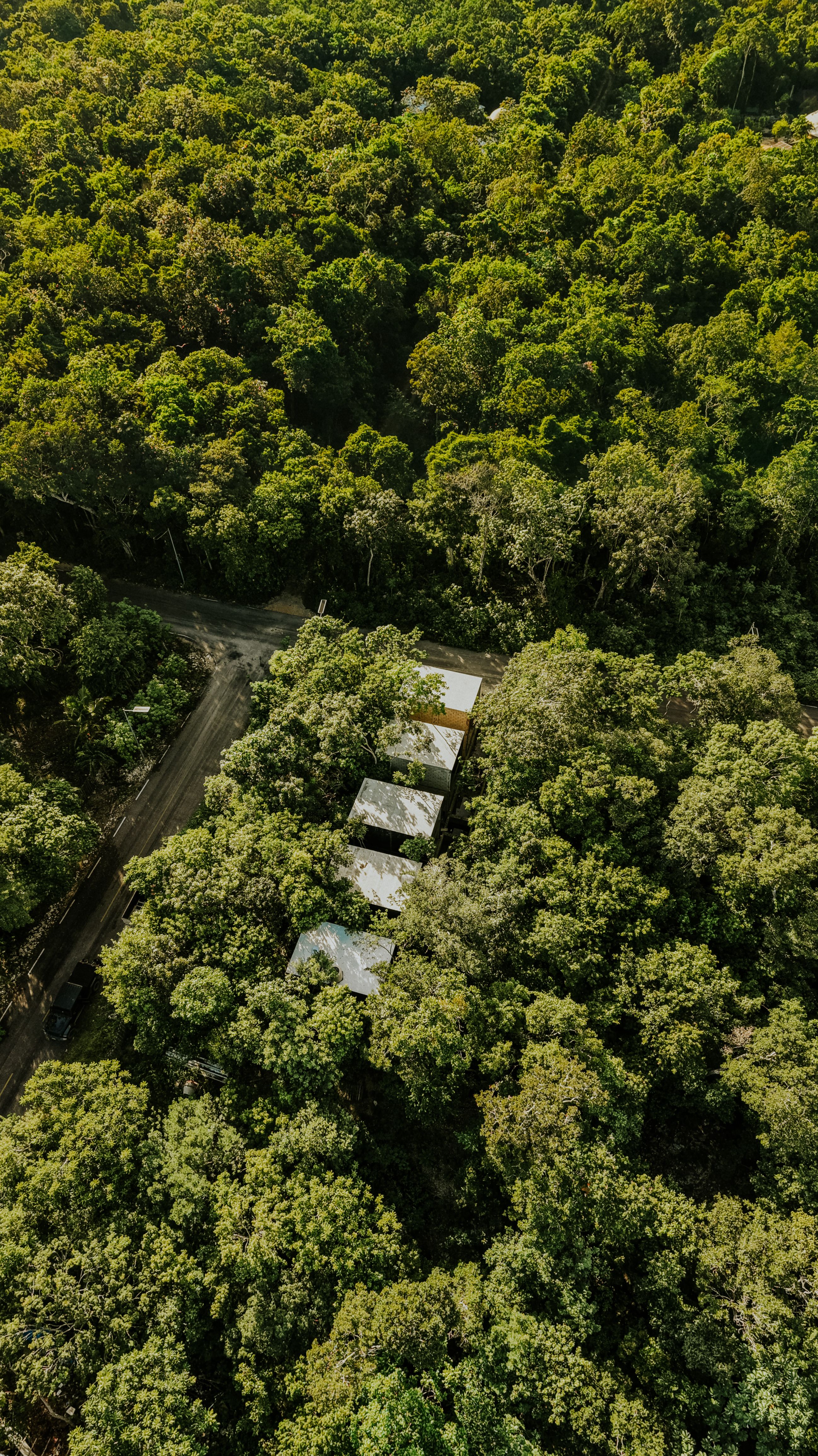 Aerial View of Dense Jungle with Hidden Cabins · Free Stock Photo