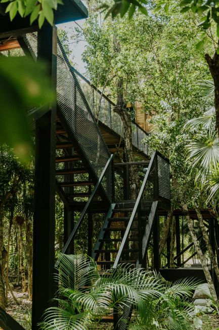 A modern treehouse with stairs amidst lush jungle foliage A modern treehouse with stairs amidst lush jungle foliage