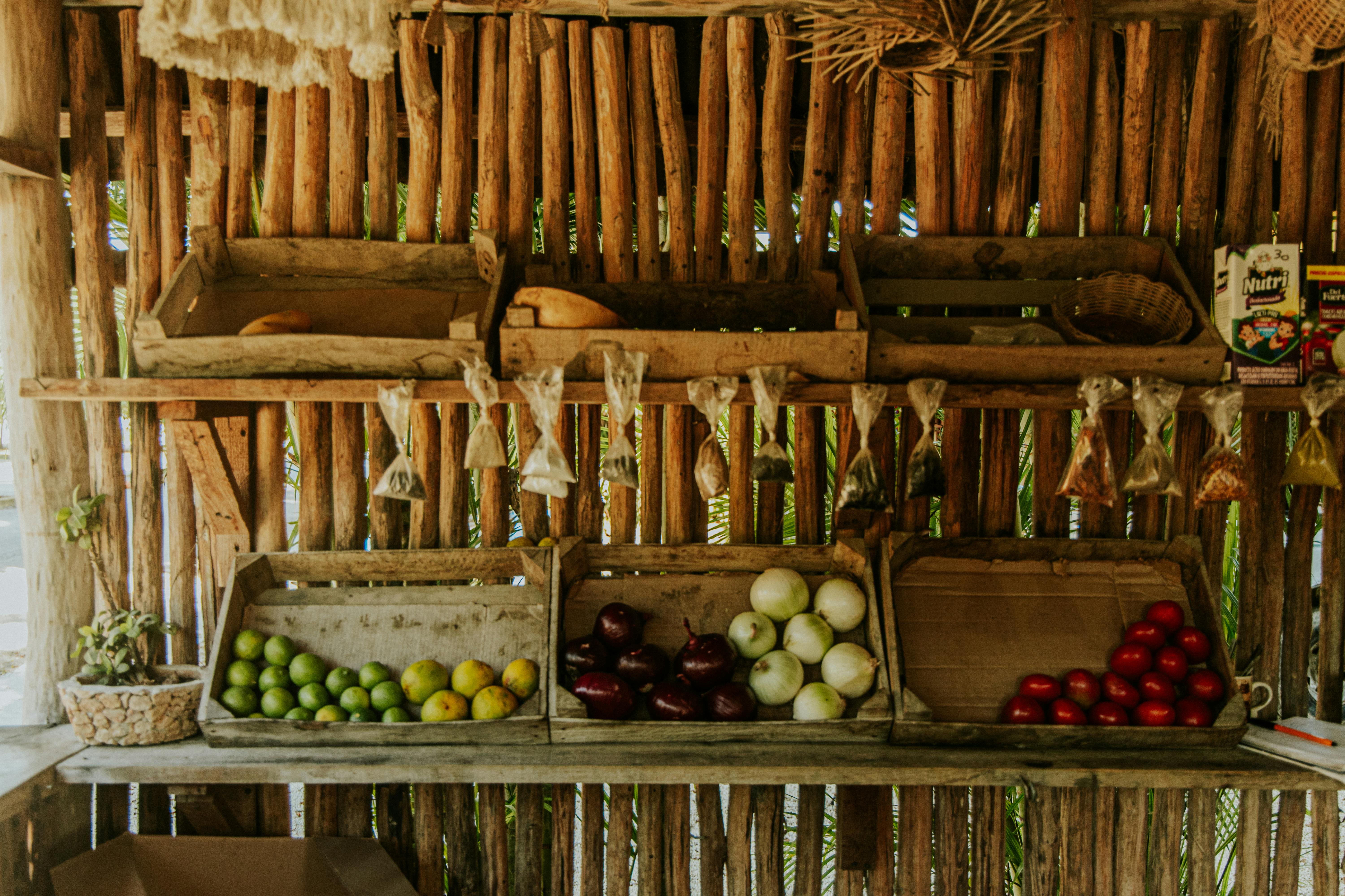 Untapped Markets Revealed: The Next Big Investment Opportunities