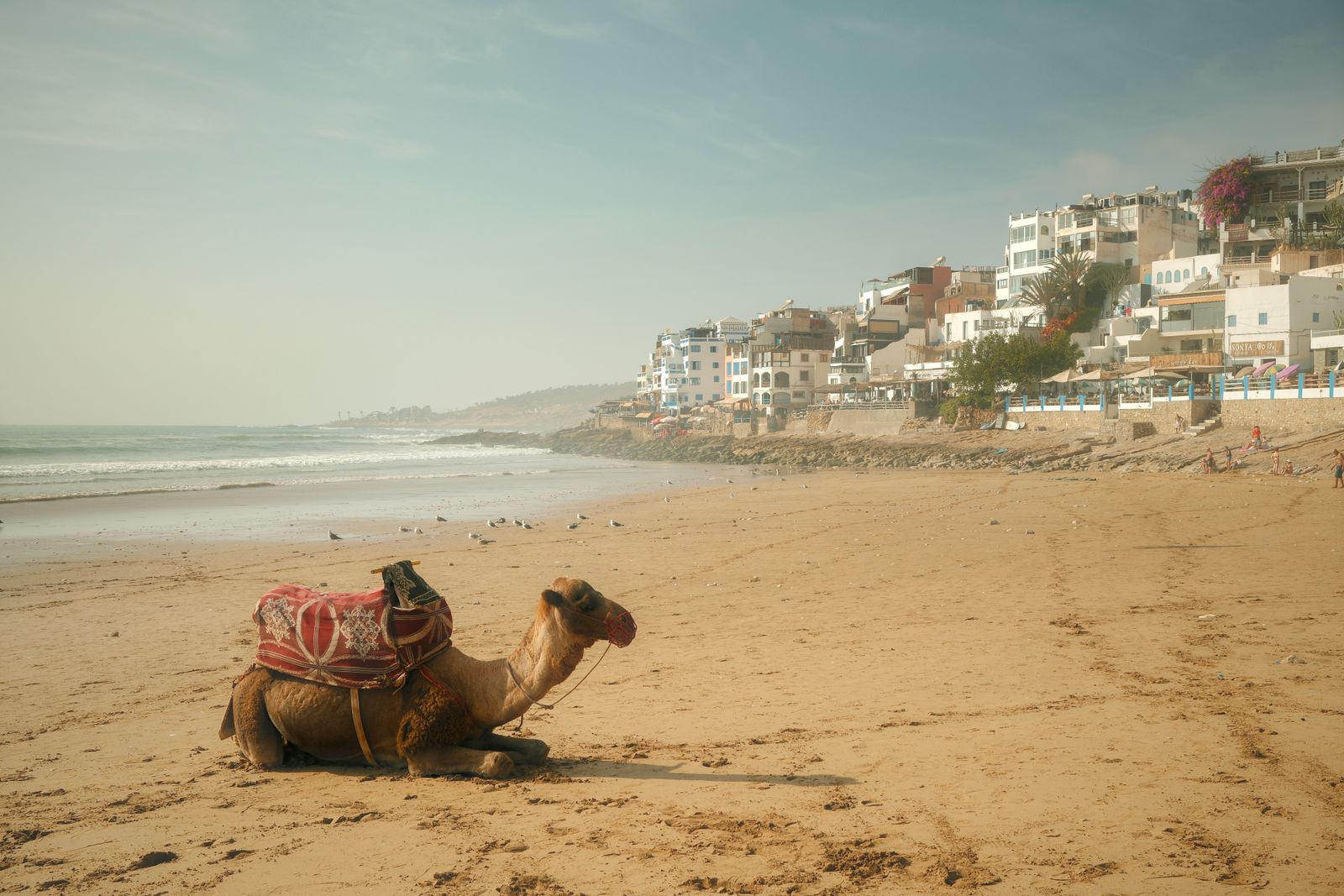 Guide voyage Agadir 2026 — plage de la baie d'Agadir et promenade de la Corniche avec la Kasbah Oufella au-dessus