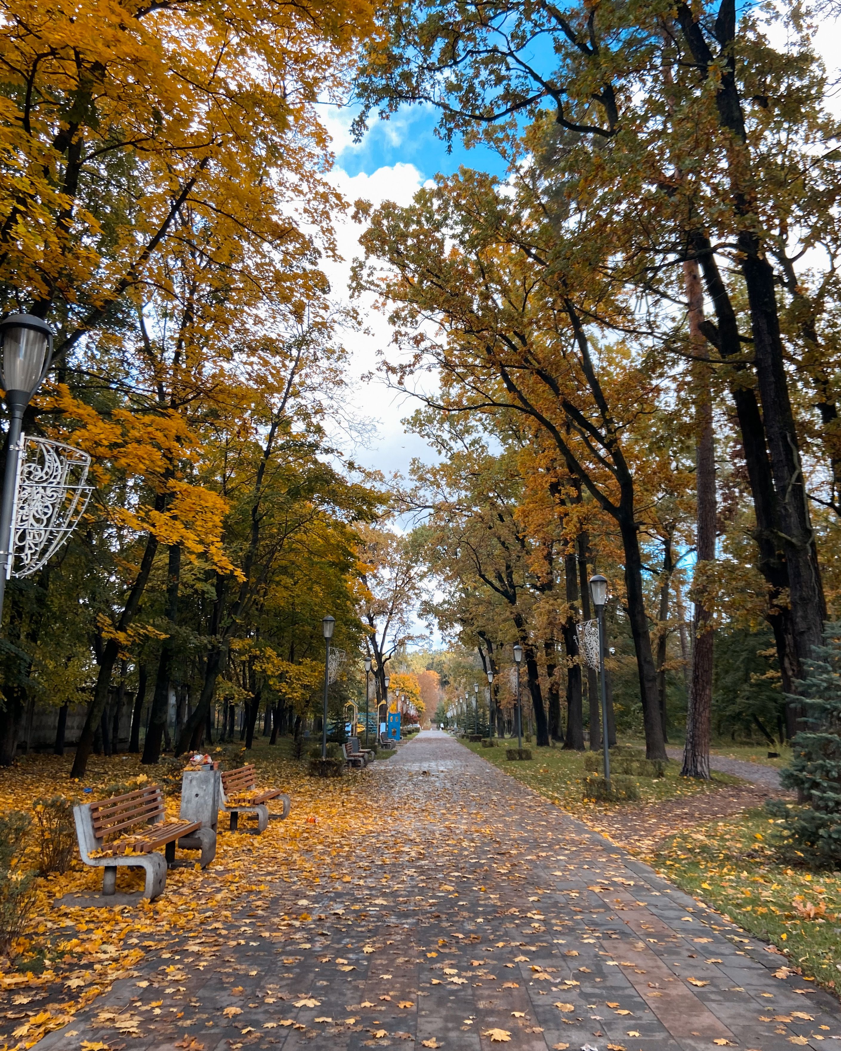 Peaceful Autumn Park Pathway with Fallen Leaves · Free Stock Photo