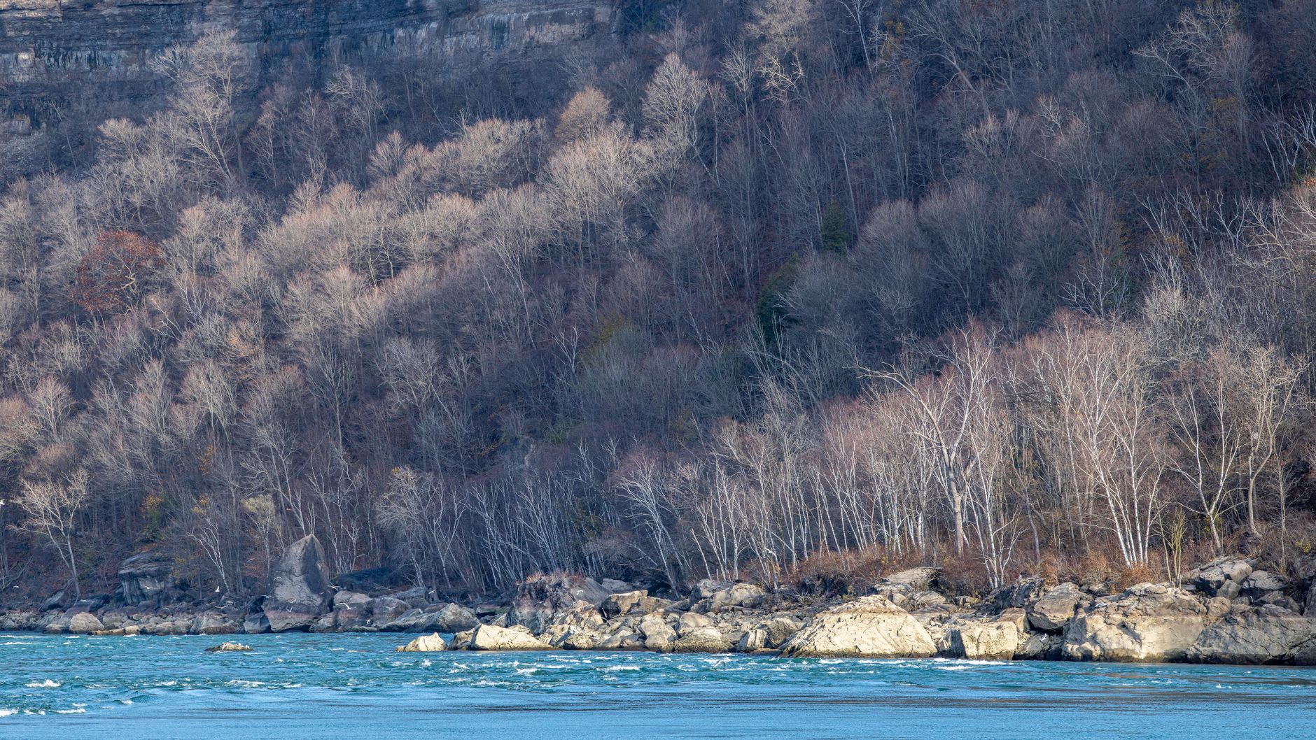 Grand River Fishing: Grand Rapids Gauge & November Push