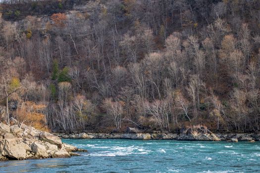 Vibrant river flowing alongside a leafless forest in late autumn, showcasing nature's tranquility.