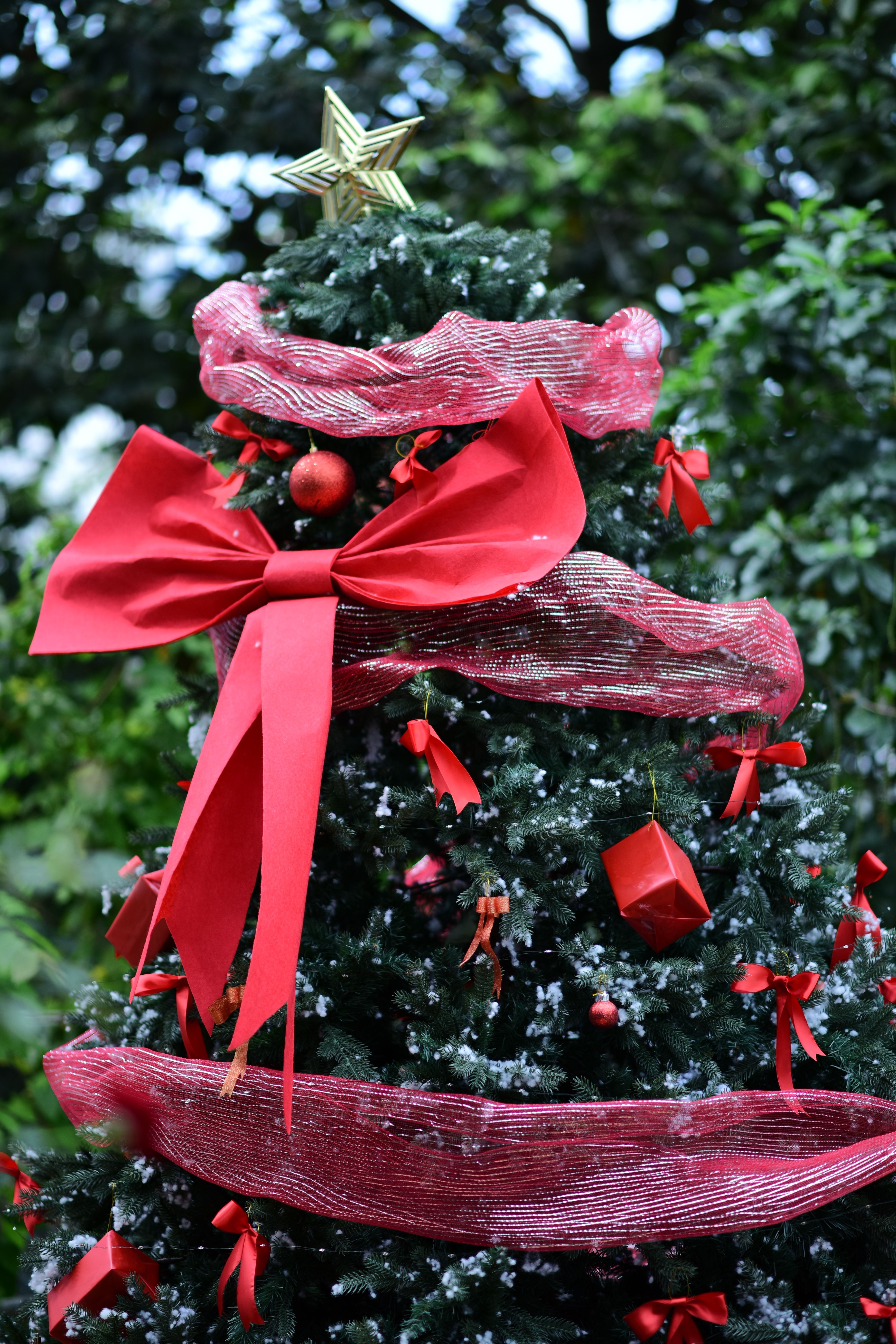 Article recommandé - Décoration de Noël festive pour Campus d'École de Commerce | Conseils organisation évènement