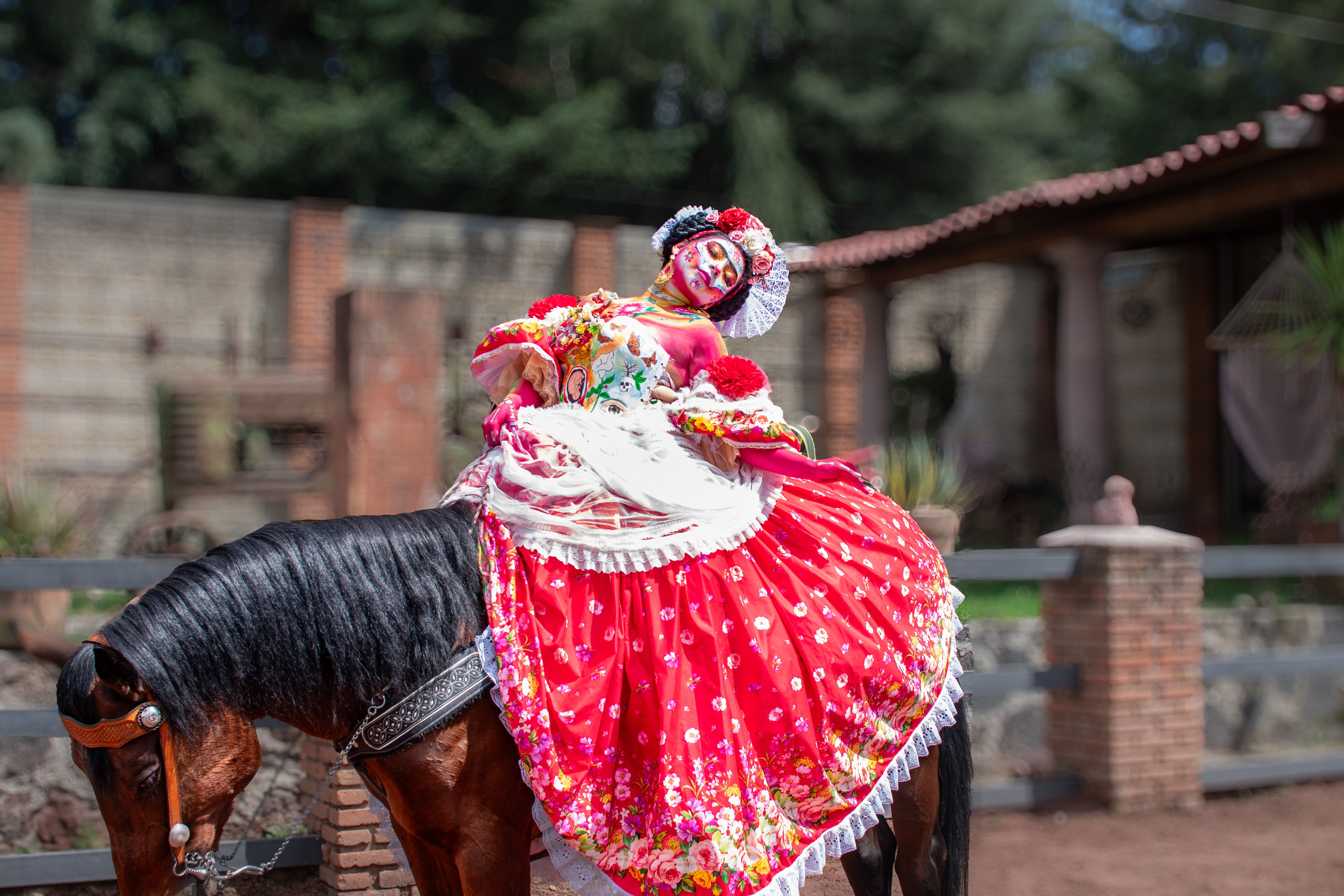 Vibrant Traditional Costumed Performer on Horseback · Free Stock Photo