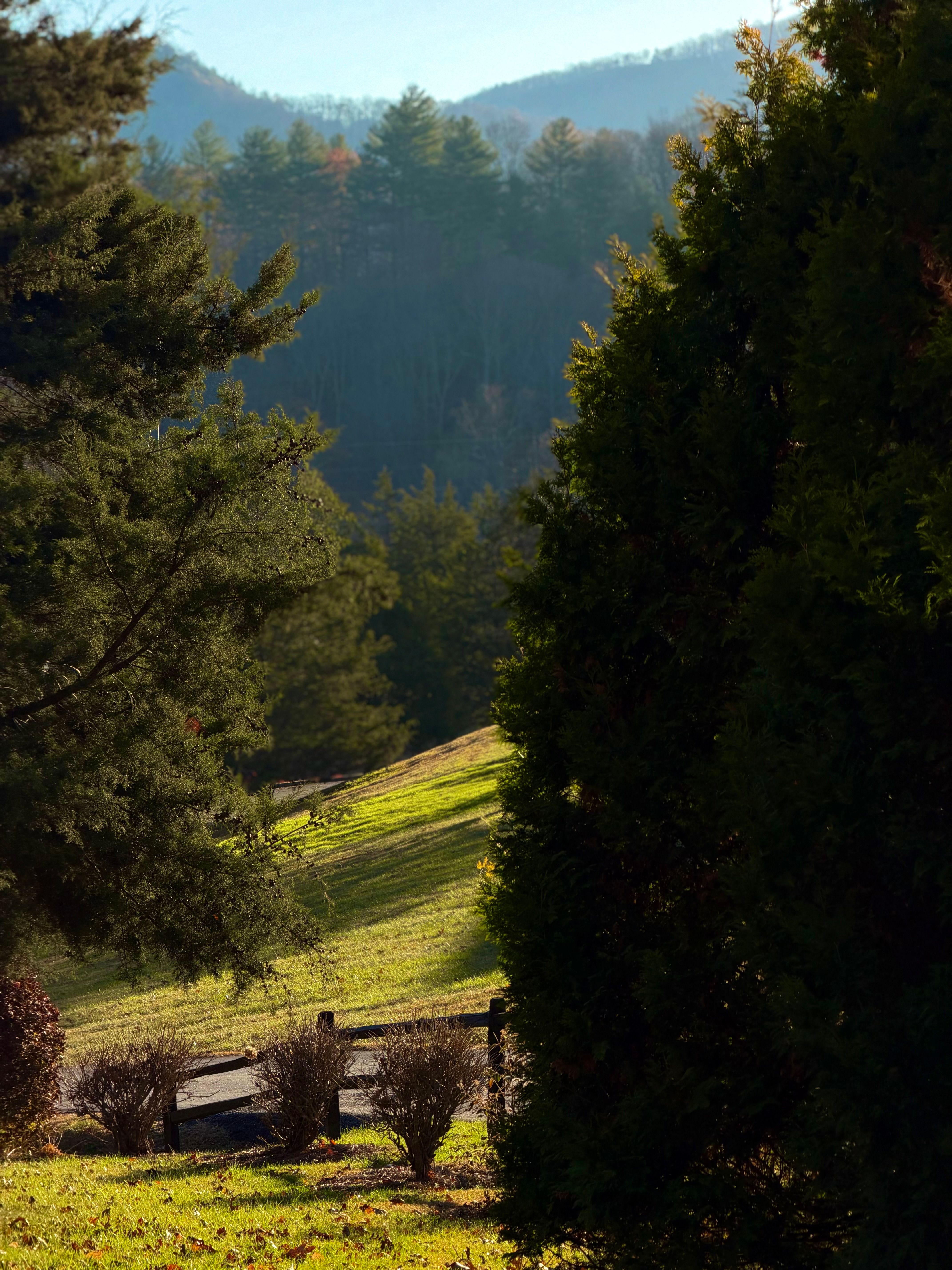 Lush Green Landscape with Trees and Rolling Hills · Free Stock Photo