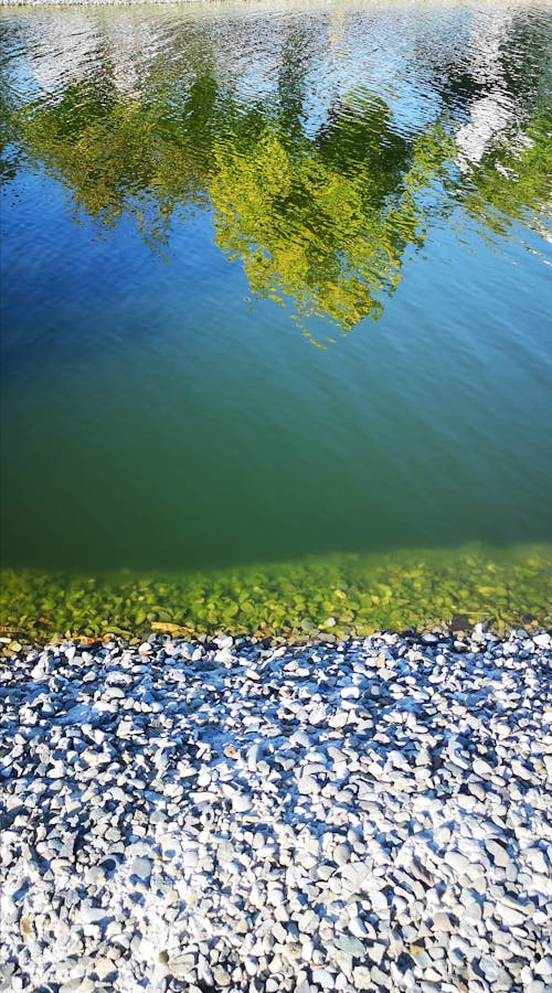 Free stock photo of reflection