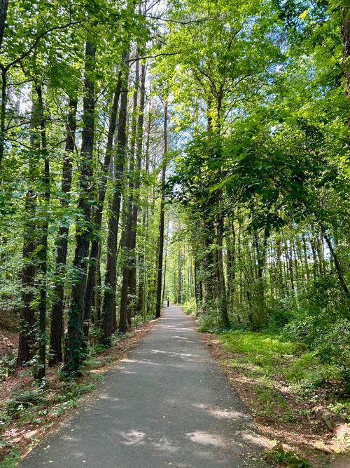 Free A tranquil walking trail in a lush green city park under clear blue skies. Stock Photo
