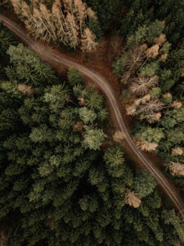 A breathtaking aerial view of a curved path through a colorful autumn forest.
