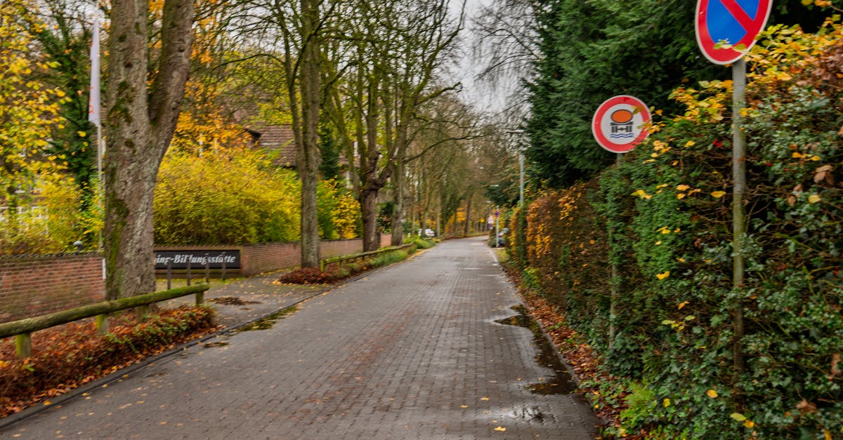 Puerto Rico: seguridad personal basada en sentido común y comunidad Puerto Rico: seguridad personal basada en sentido común y comunidad