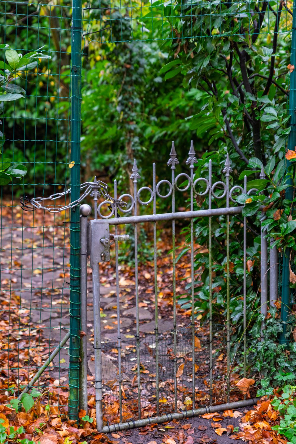Rustic Fall Gate Rustic Iron Gate in a Lush Autumn Garden · Free Stock Photo