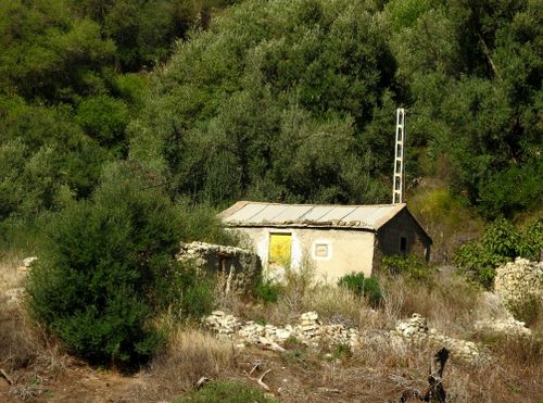 Free An isolated stone cottage surrounded by lush greenery in a rustic rural setting. Stock Photo