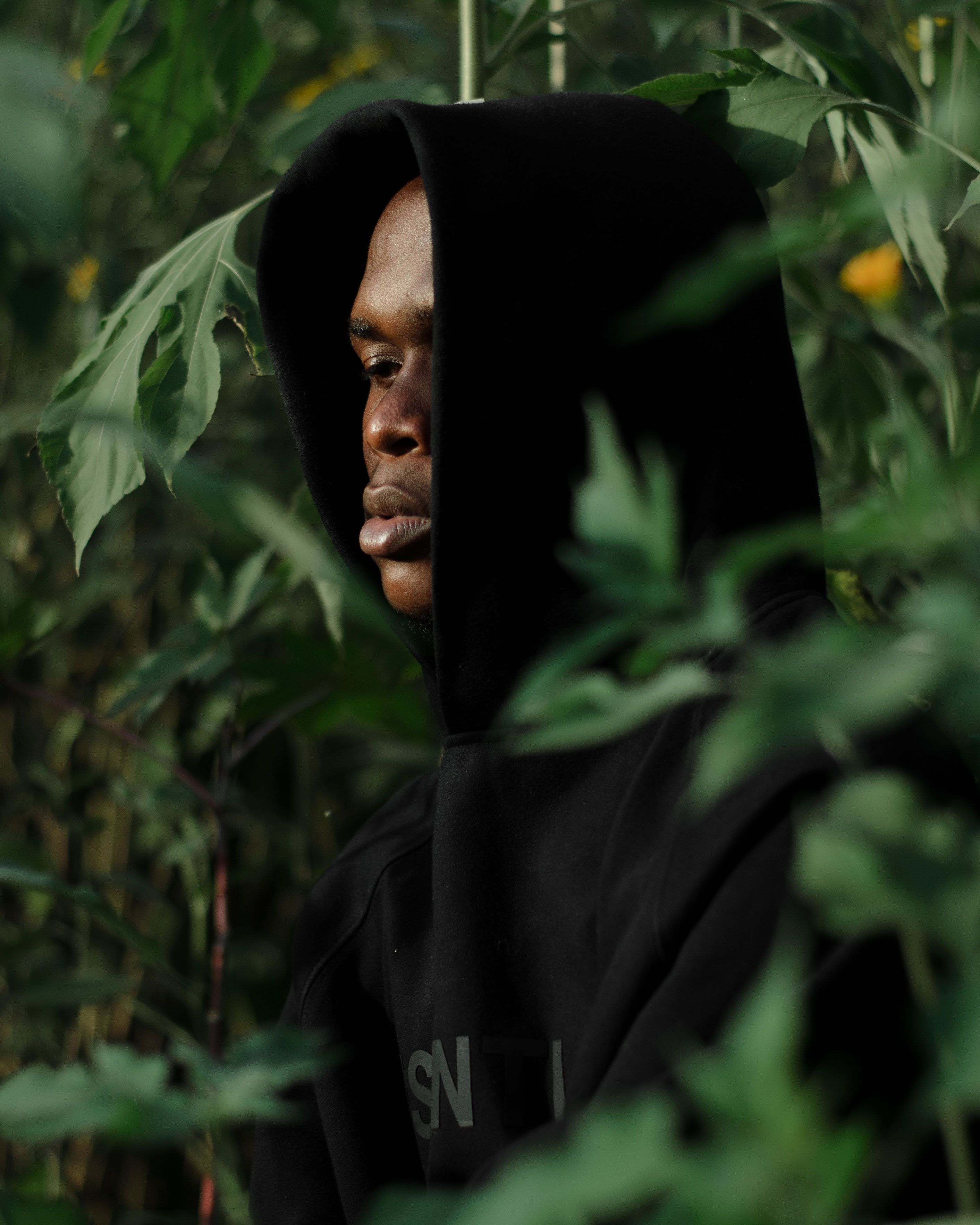 Portrait of a man in a black hoodie amidst lush green leaves, capturing solitude.