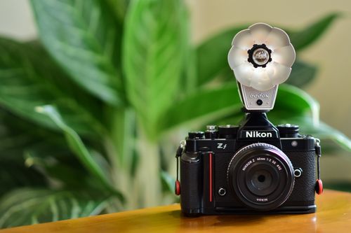 Free Close-up of classic Nikon camera with Godox flash against leafy background. Stock Photo