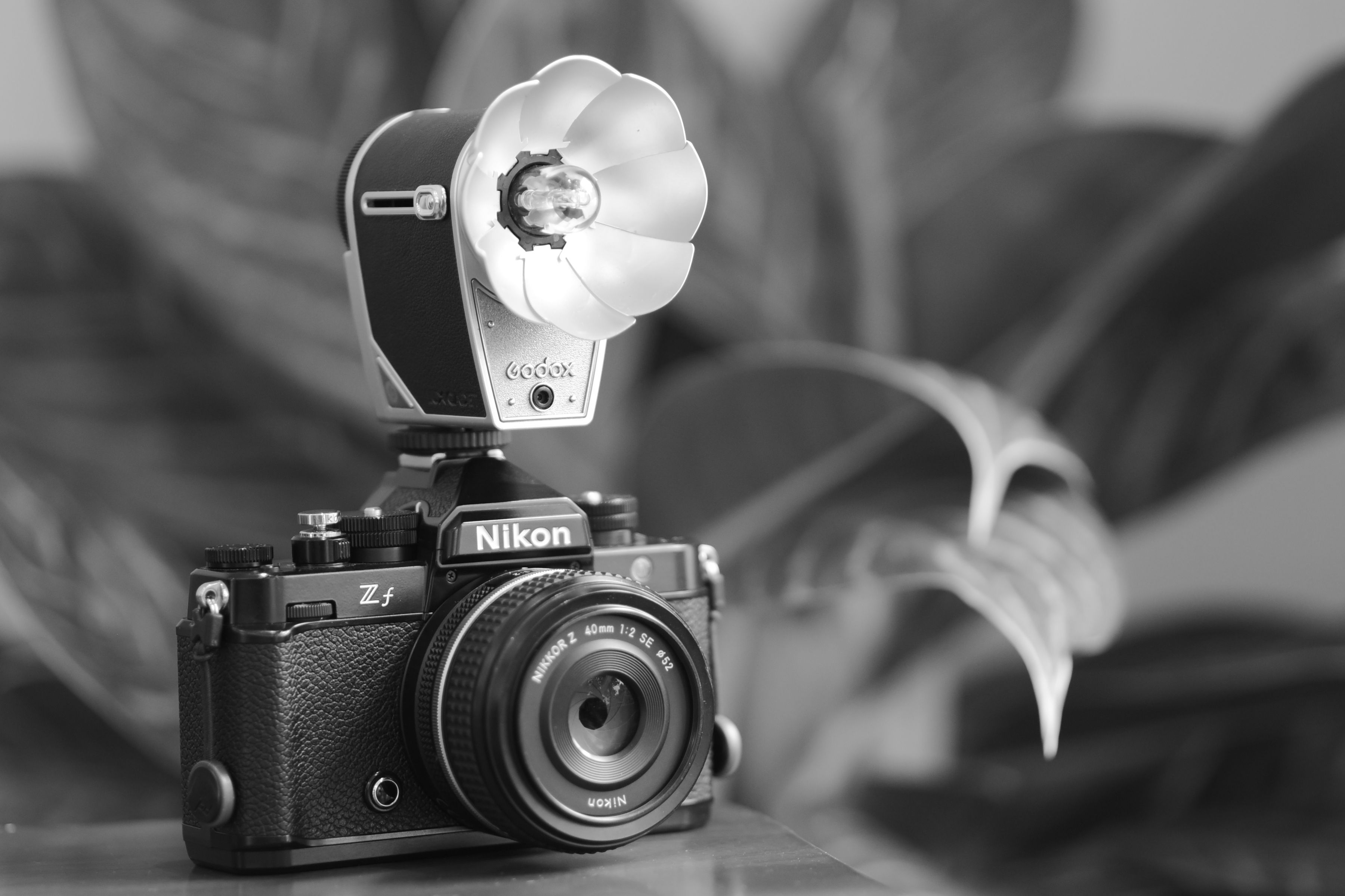 Gemini 2.5 Flash Lite API