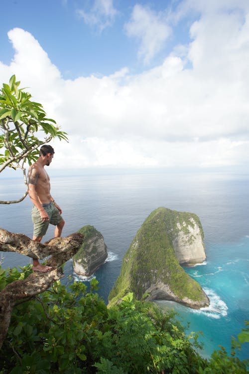 Pria Topless Mengenakan Celana Pendek Abu Abu Berdiri Di Cabang Pohon Melihat Pulau Dan Perairan