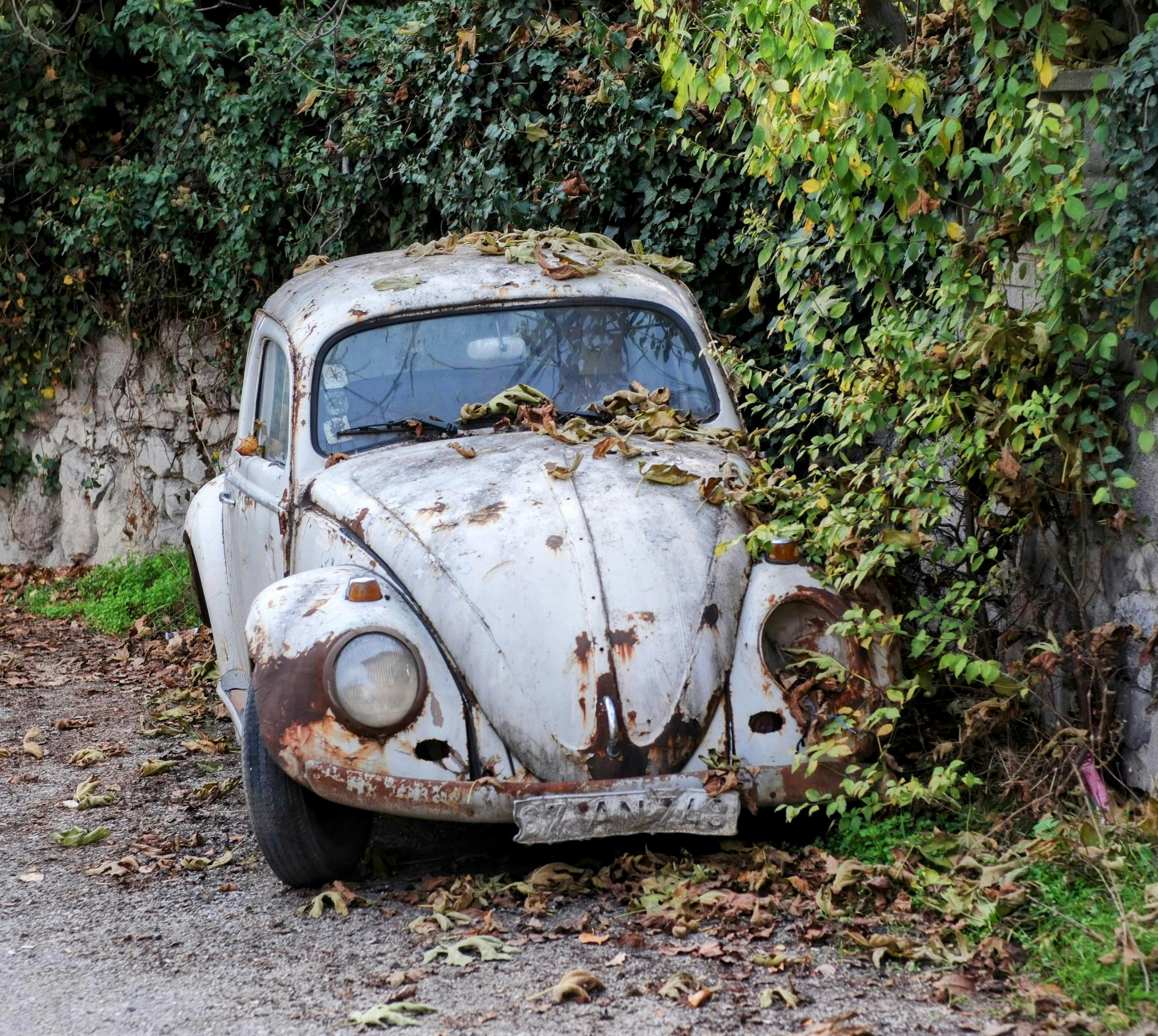 Karabük’daki Doğa Yürüyüşü yollar