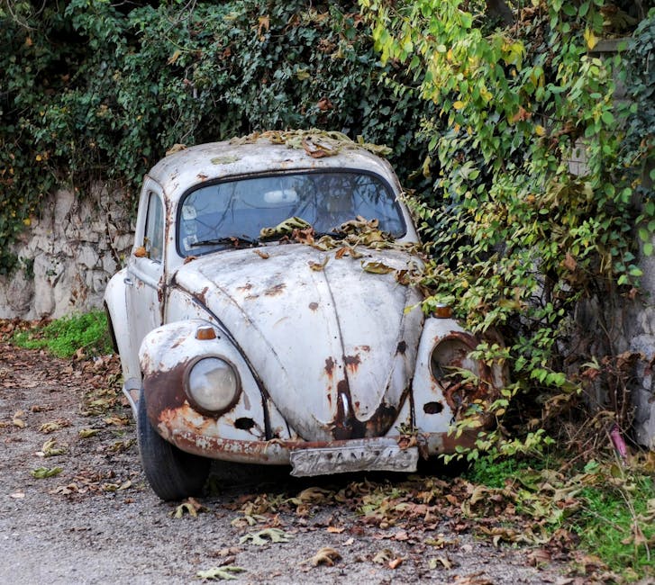 doğa yürüyüşü, Karabük, turizm
