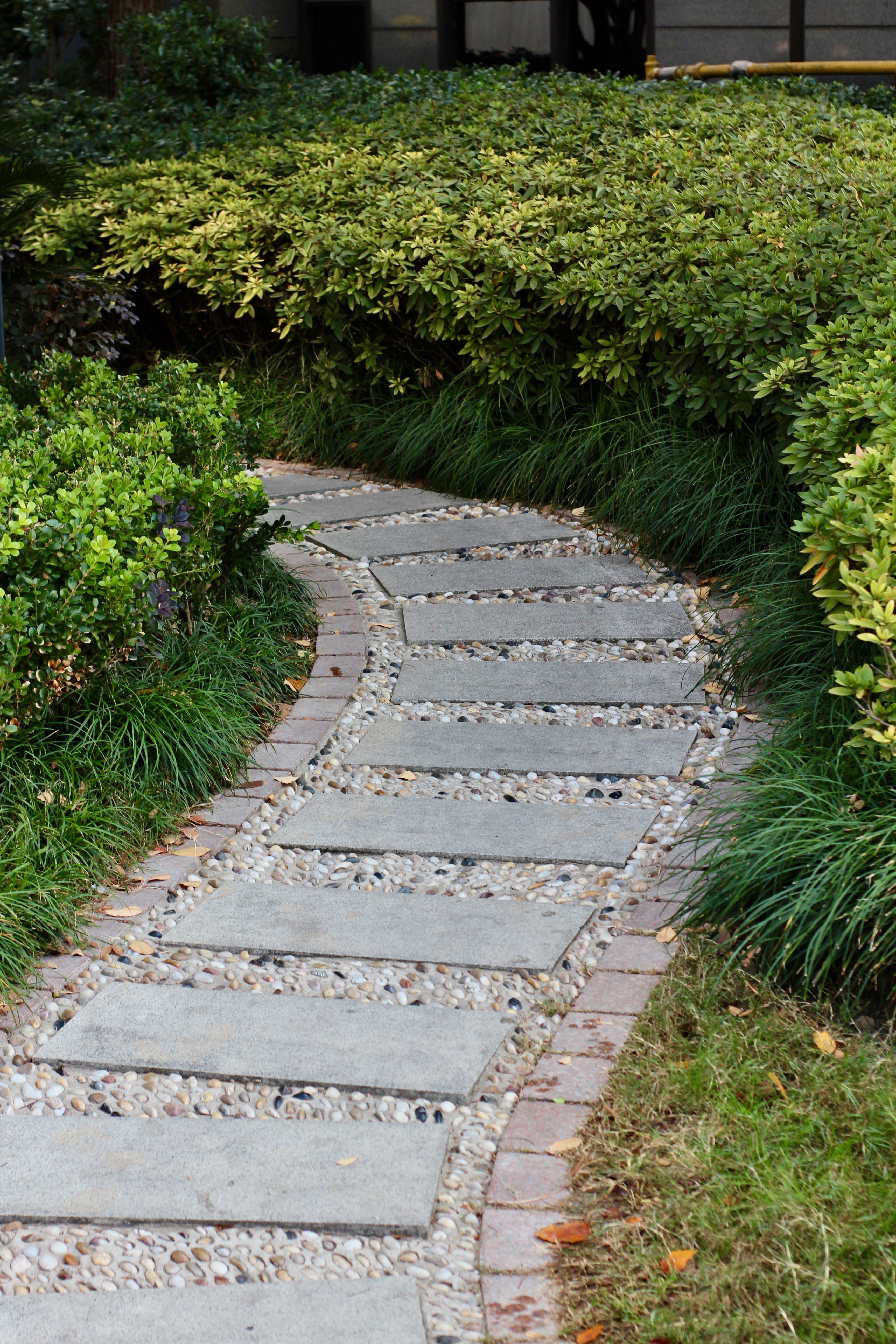 Garden pathway with stone and greenery