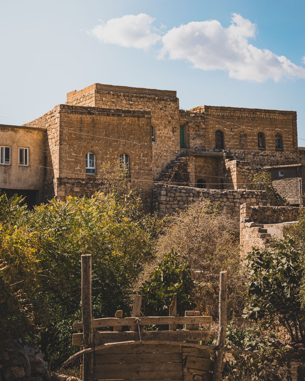 Sarı kalkerin yakın yüzü