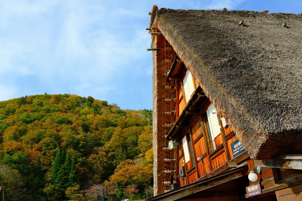 Traditional Japanese thatched-roof house with autumn foliage in the mountains