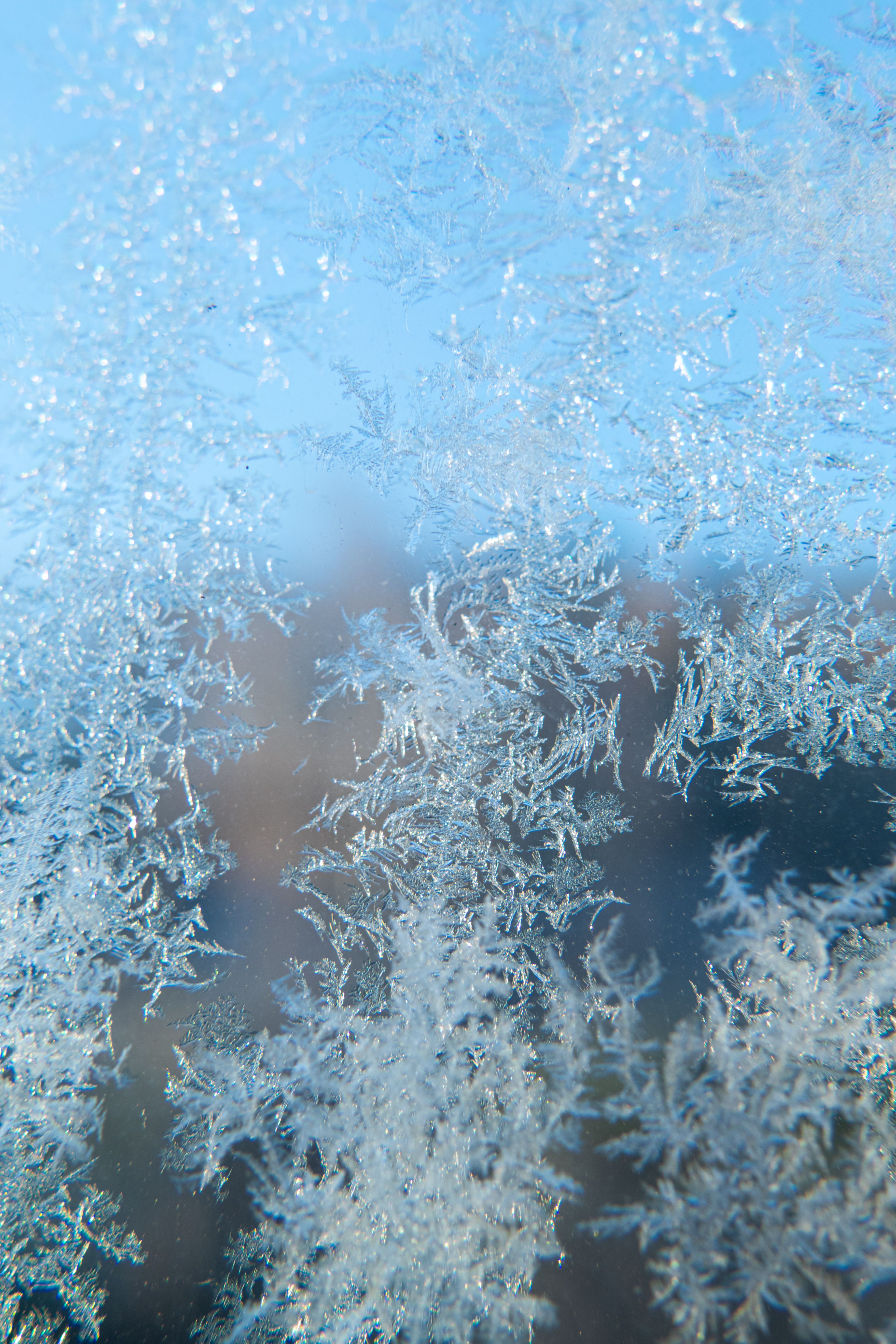 Close-up of Frost Patterns on a Window · Free Stock Photo