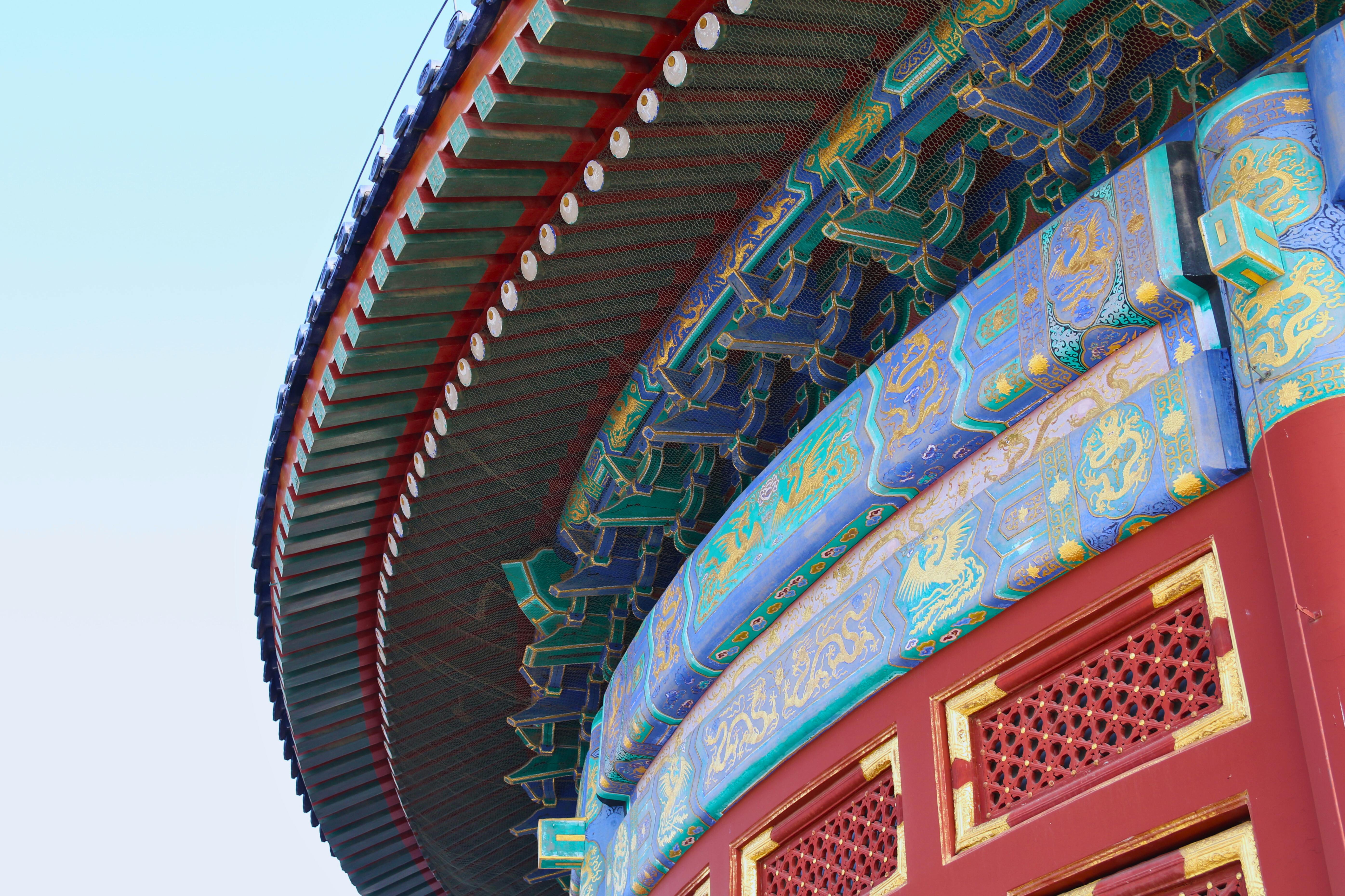 beijing pet technology — Photo by Bruna Santos on Pexels