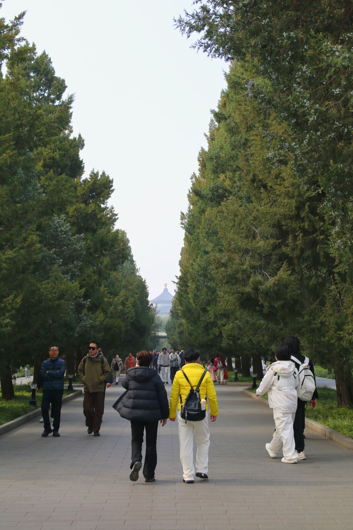 Visitors strolling under tall trees in a Beijing park near the city center