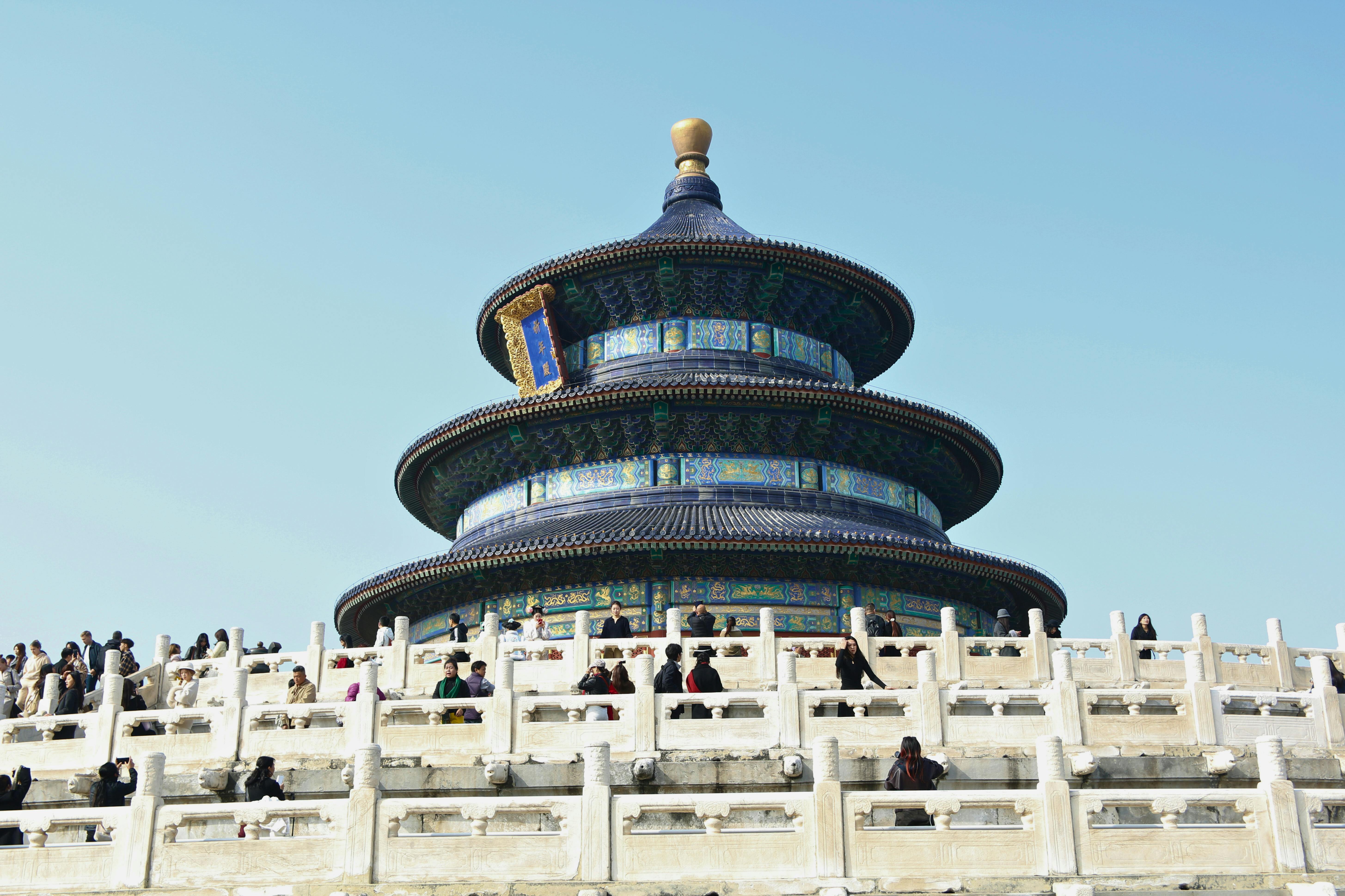 beijing pet technology — Photo by Bruna Santos on Pexels