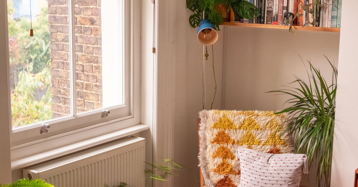 Cozy Reading Nook with Indoor Plants and Bookshelf · Free Stock Photo