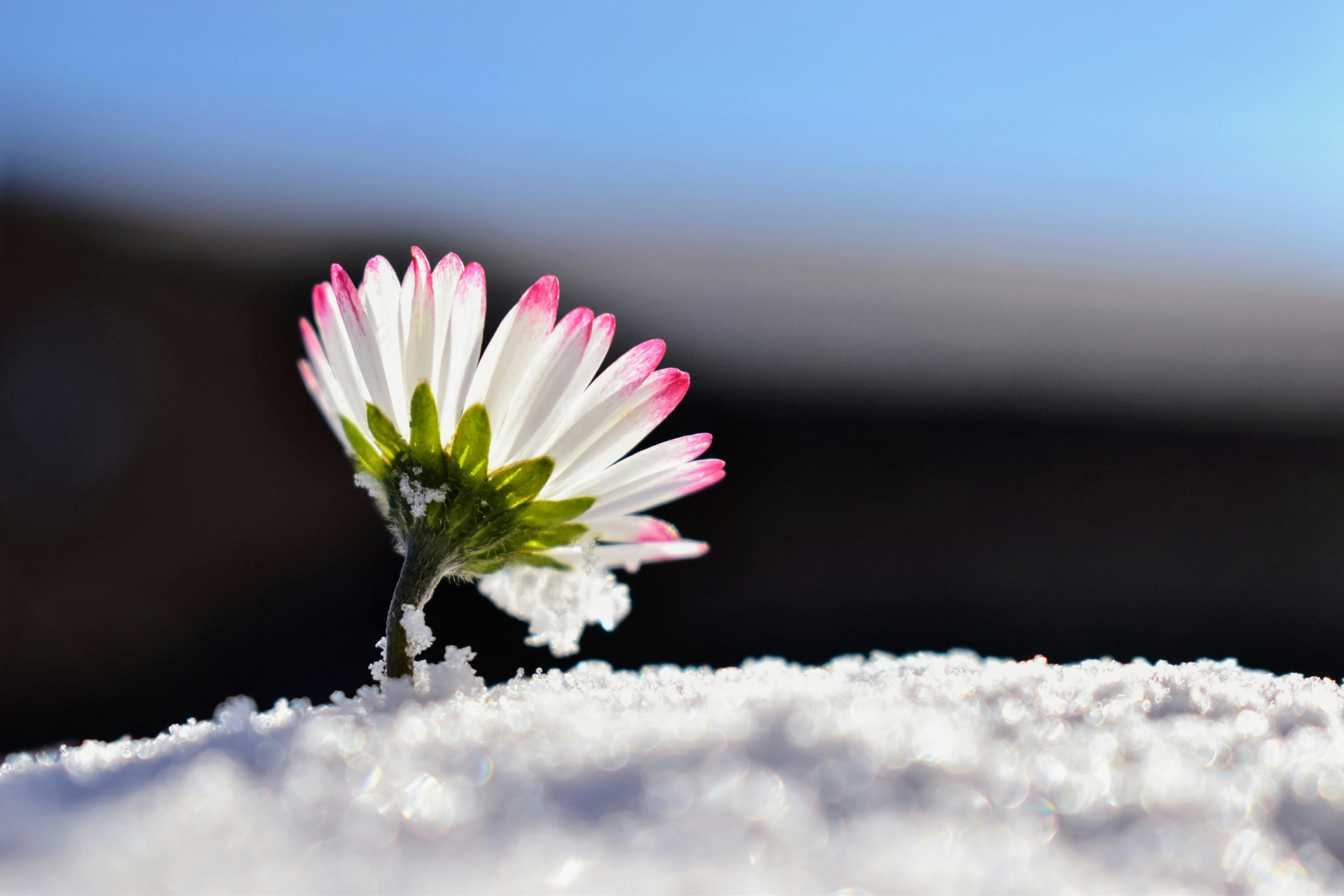 楊元寧蒞臨長庚科大 分享情緒韌性與學習生活平衡秘訣