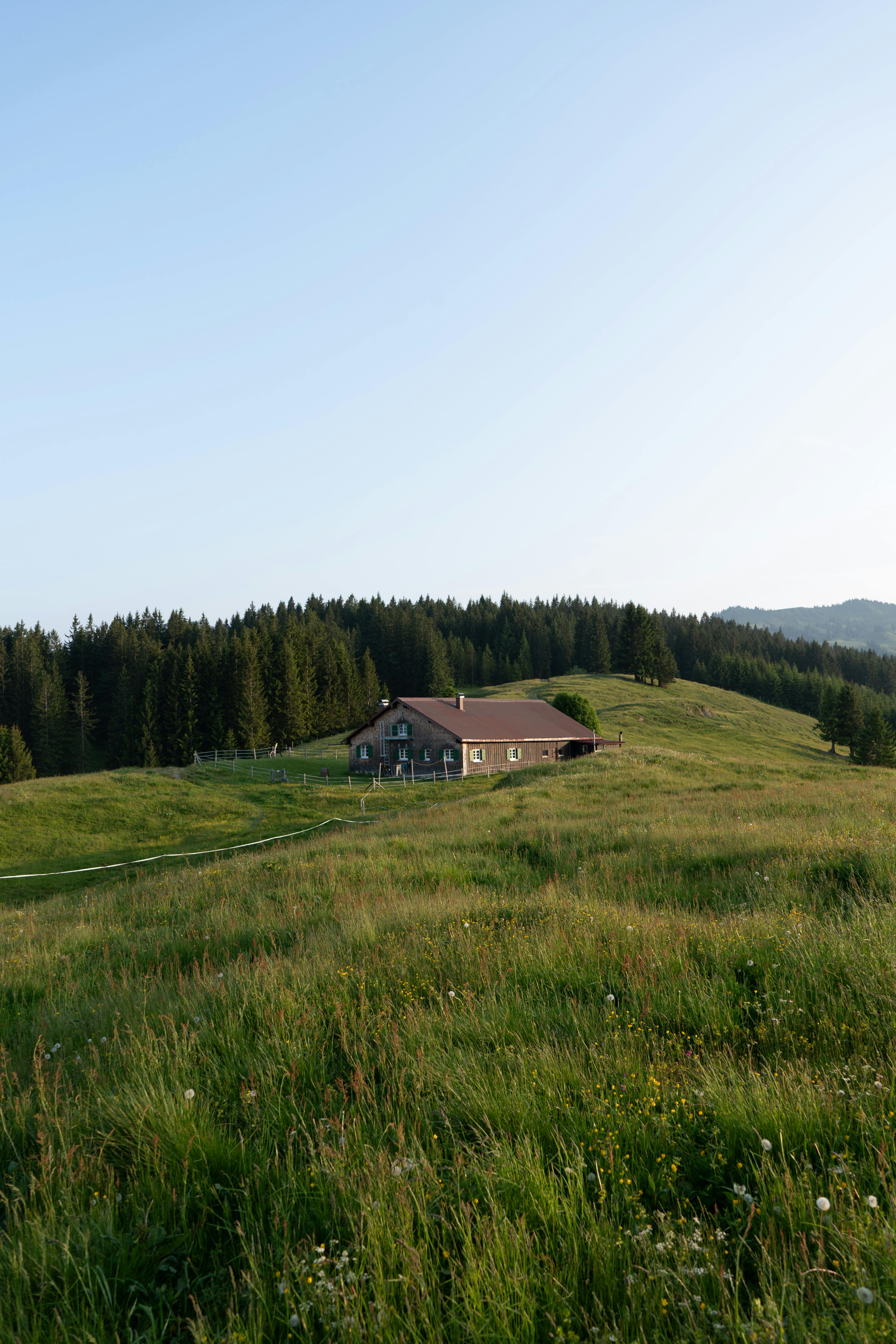 Scenic view of a mountain cabin in lush fields, Blaichach, Germany, during summer.