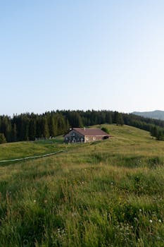 Scenic view of a mountain cabin in lush fields, Blaichach, Germany, during summer.