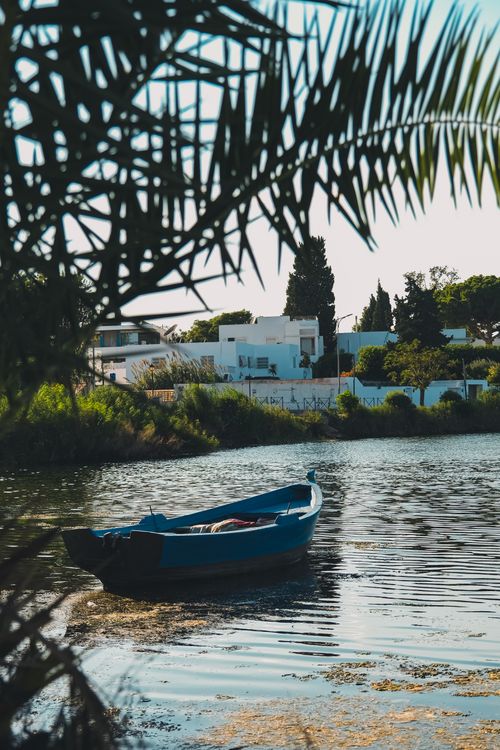 Free A serene scene of a blue rowboat on a peaceful lake surrounded by lush greenery. Stock Photo