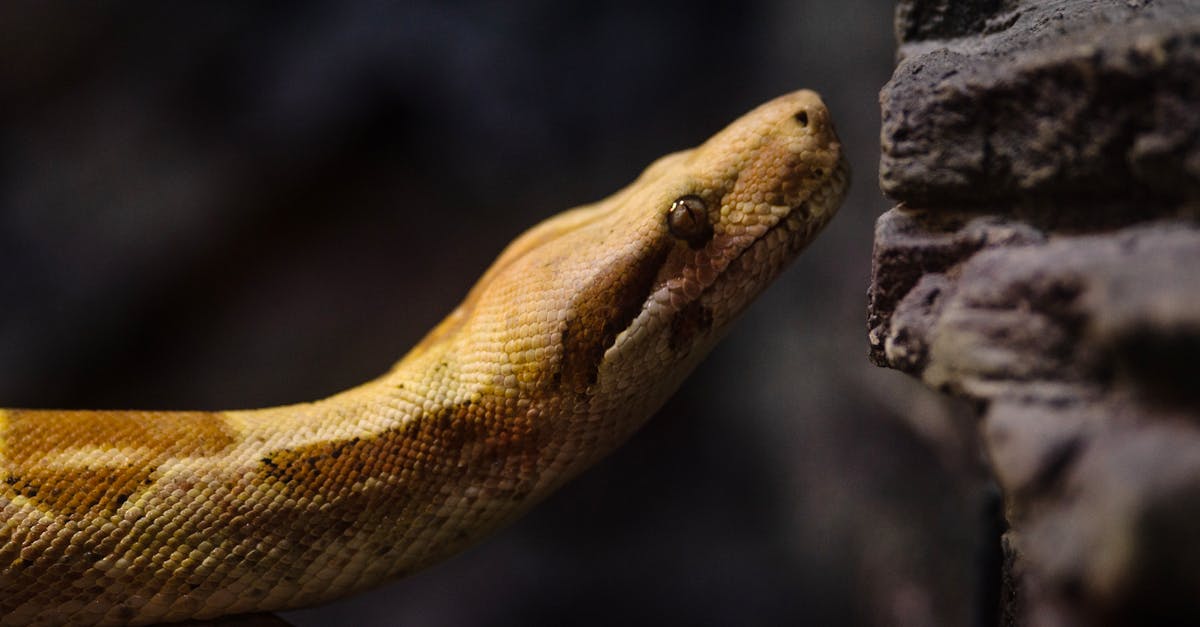 公益心與環保情結合 國際扶輪3501新竹區熱血捐1360袋